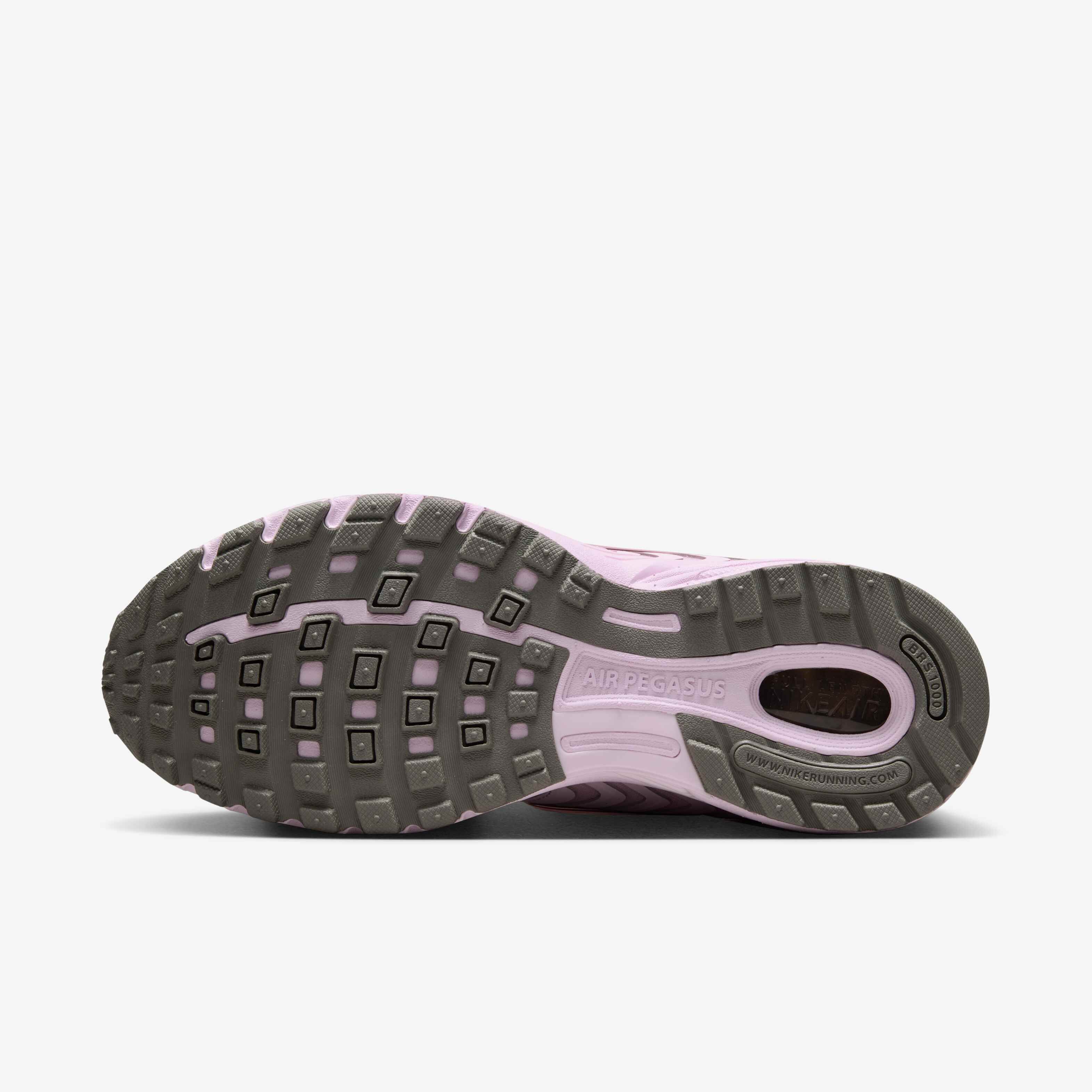 نايكي اير بيجاسوس 2005 image number 1