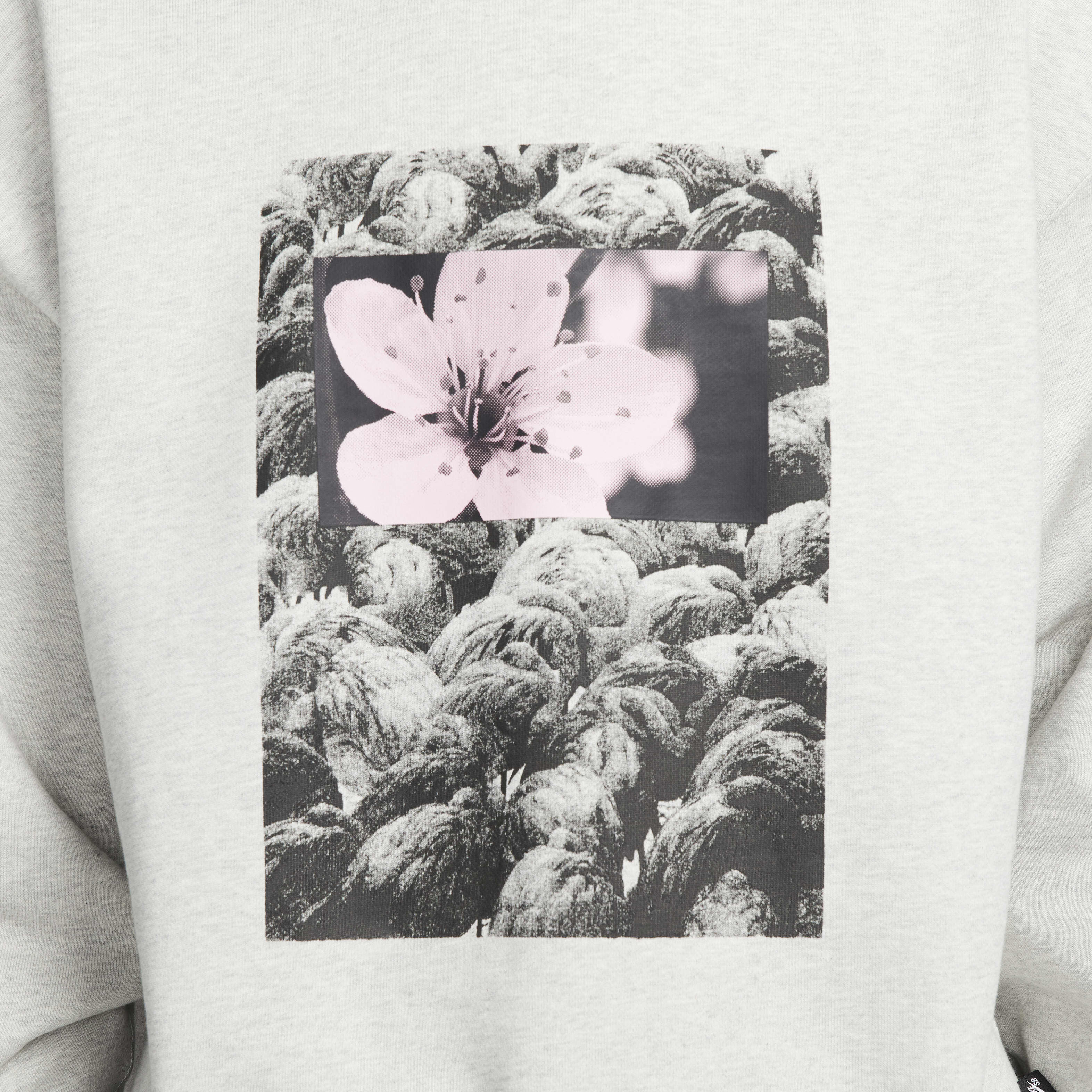 نايكي اس بي image number 3