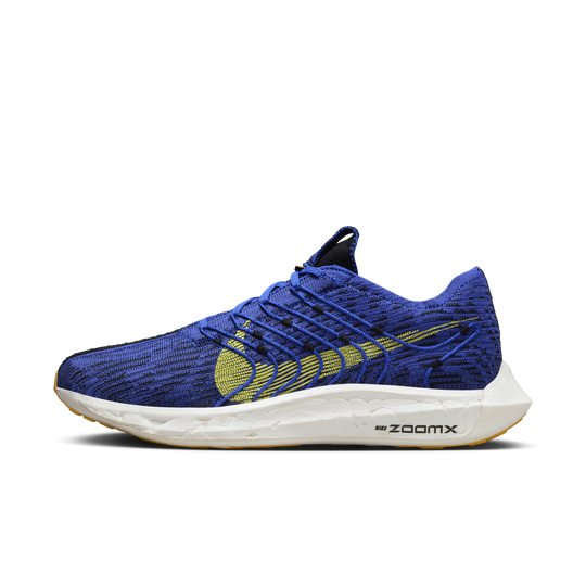 Nike air online zoom pegasus mens