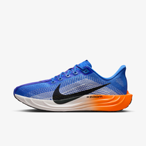 Nike Pegasus Plus