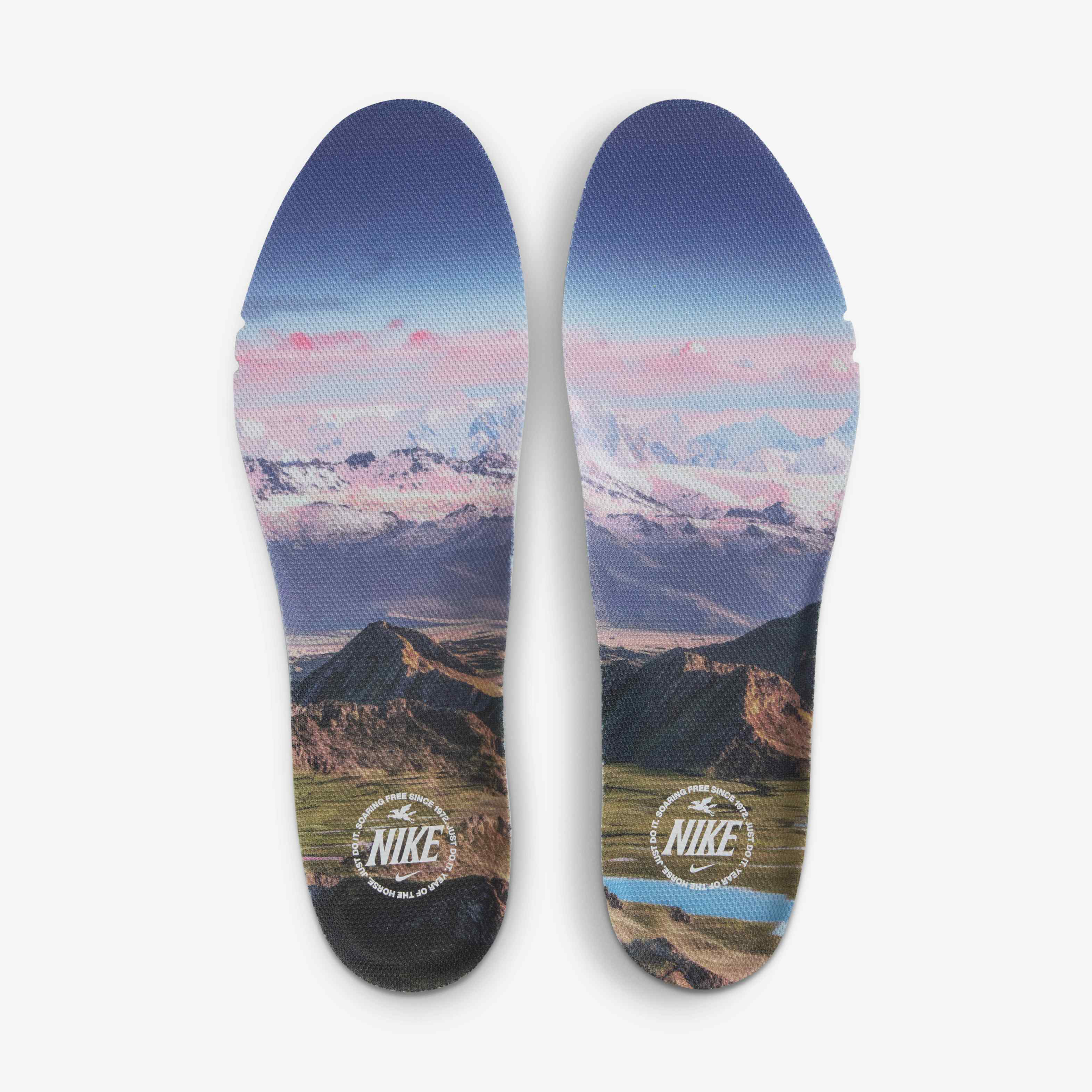 Nike Pegasus Premium image number 9