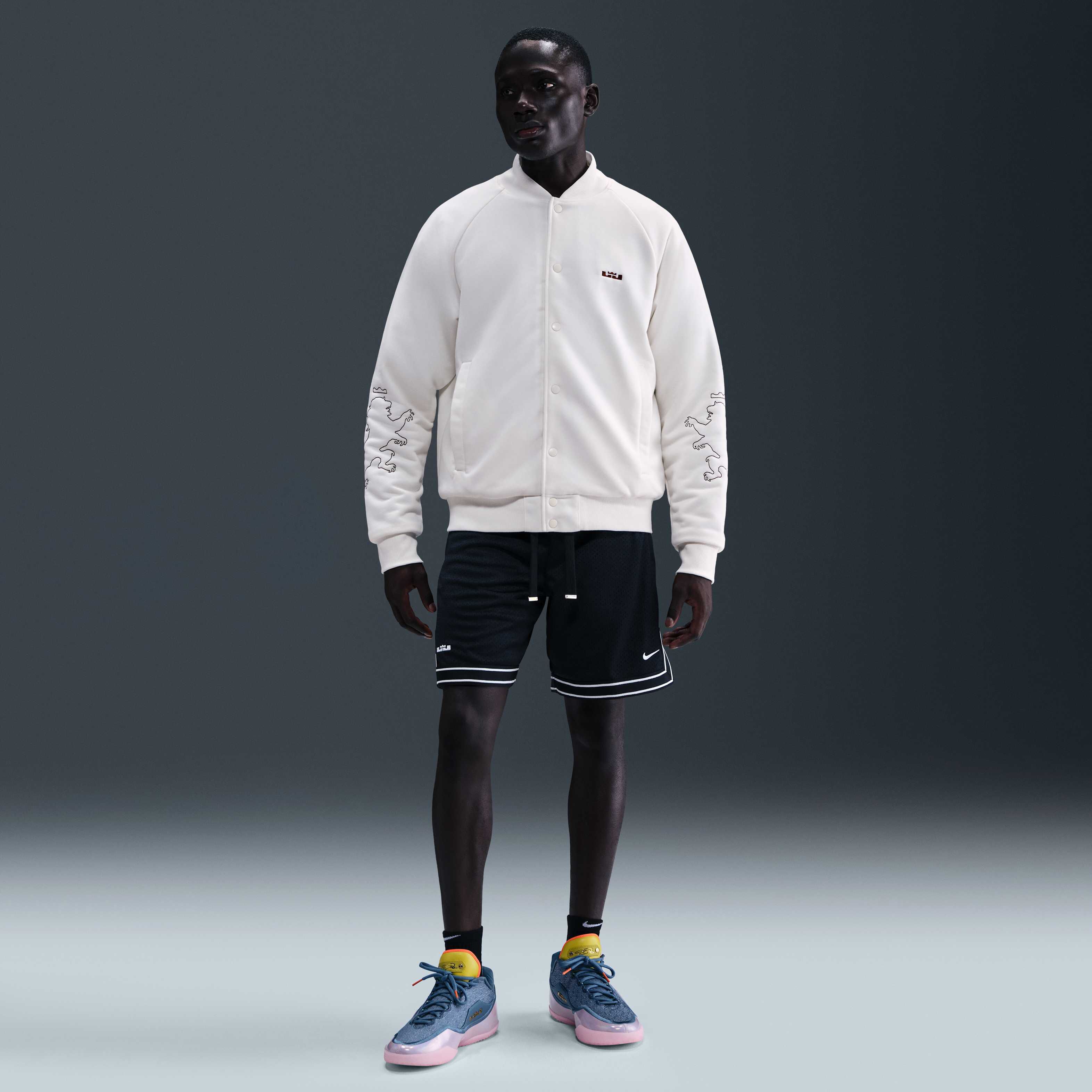 ليبرون ستاندرد ايشيو image number 3