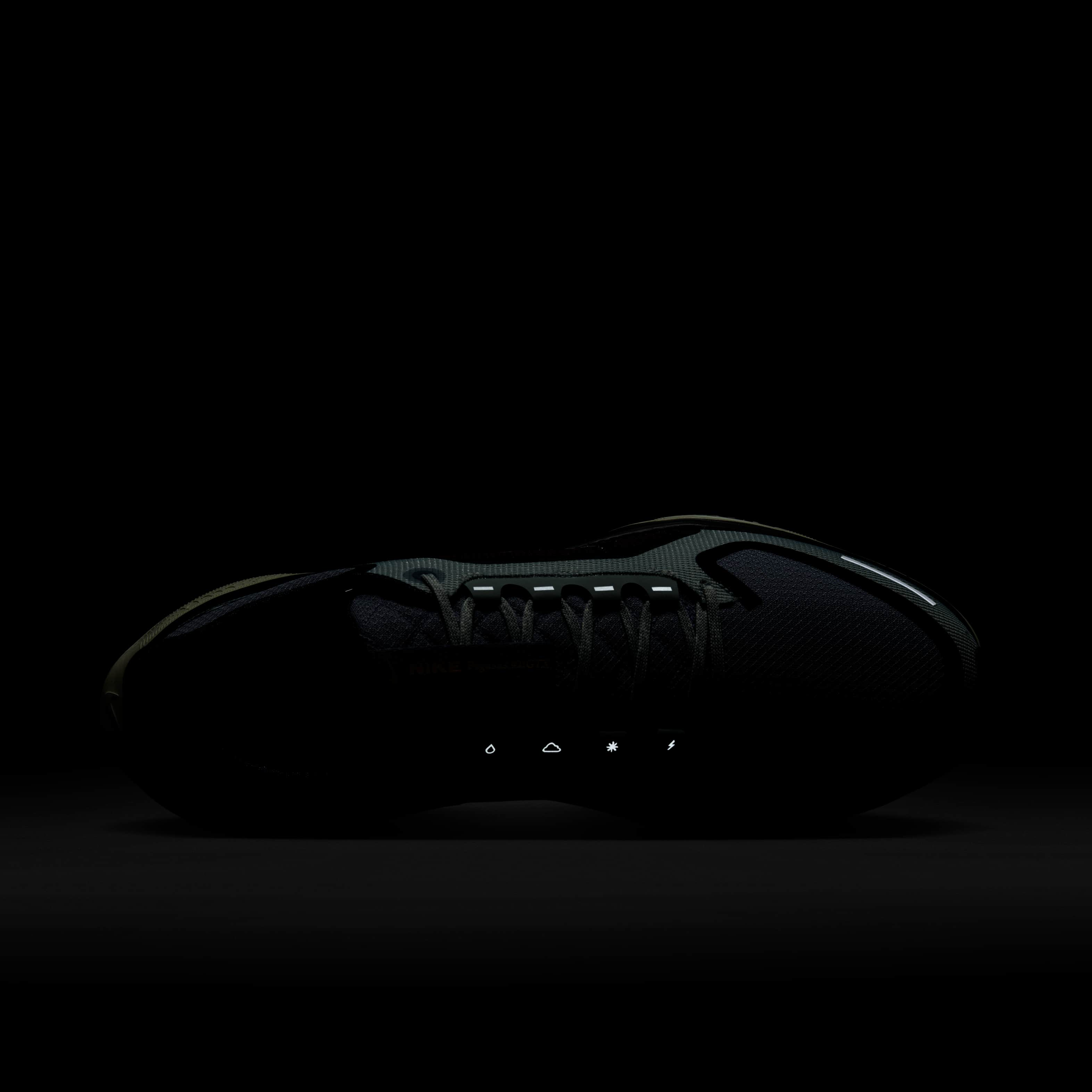 نايكي بيجاسوس 41 جور-تكس image number 8