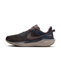 Nike Air Zoom Pegasus 41 SP