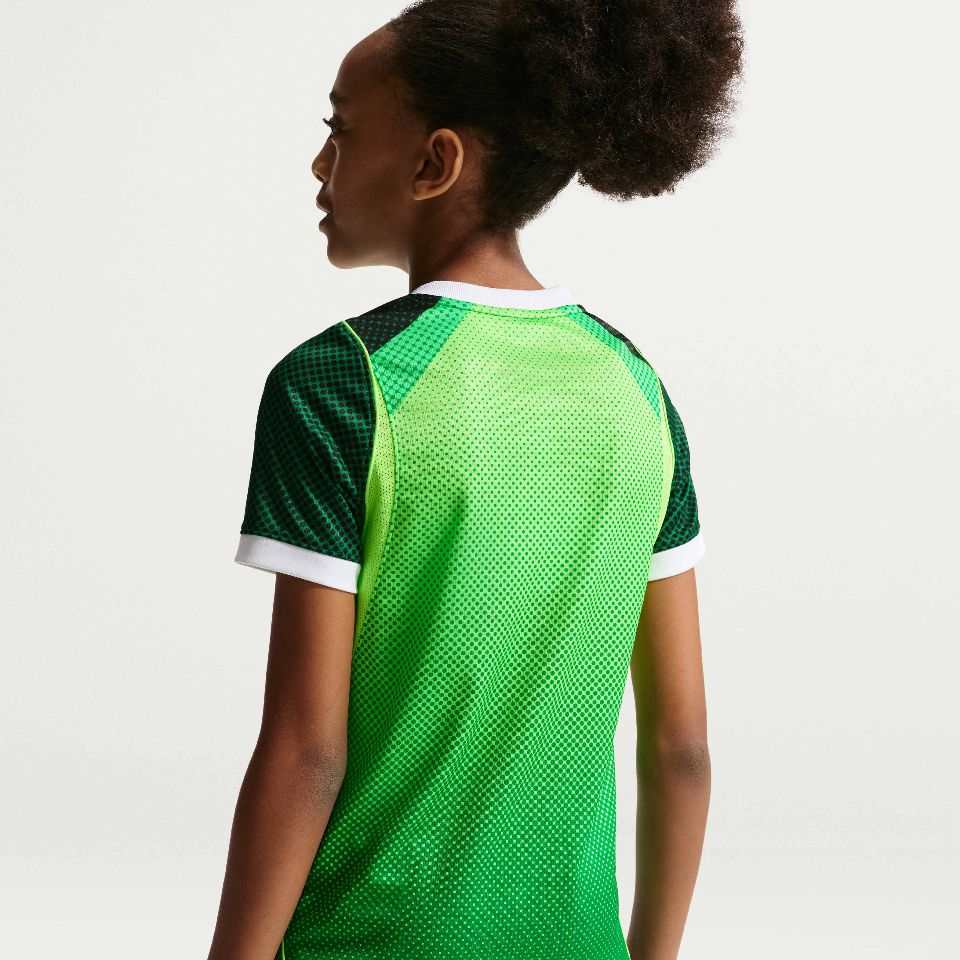 Nigeria 2026 Stadium Home image number 3