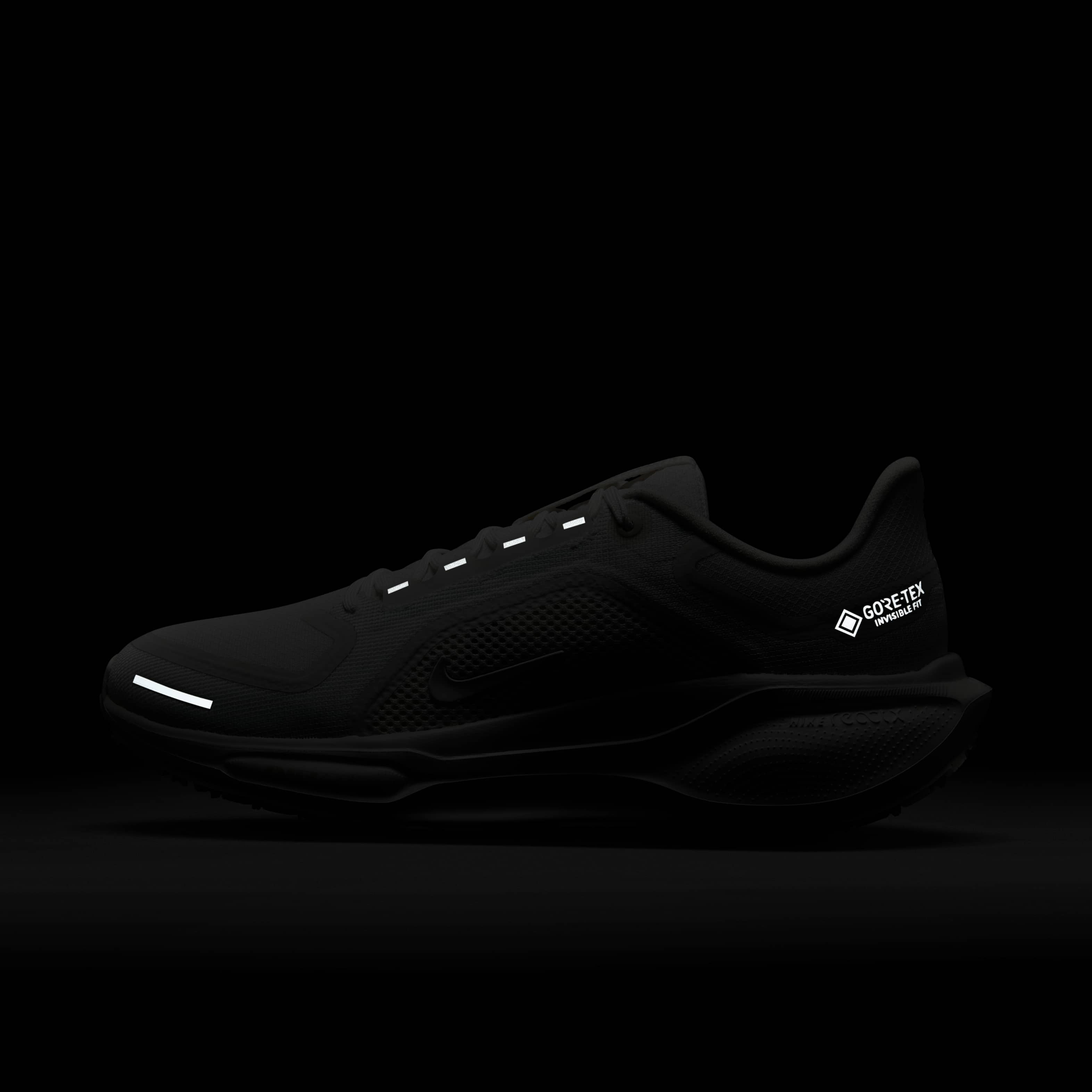 Nike Pegasus 41 GORE-TEX image number 10