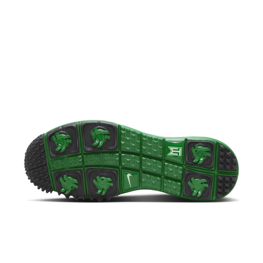 Tiger woods 2025 shoes 218