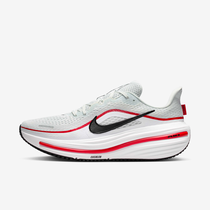 Nike Winflo 12