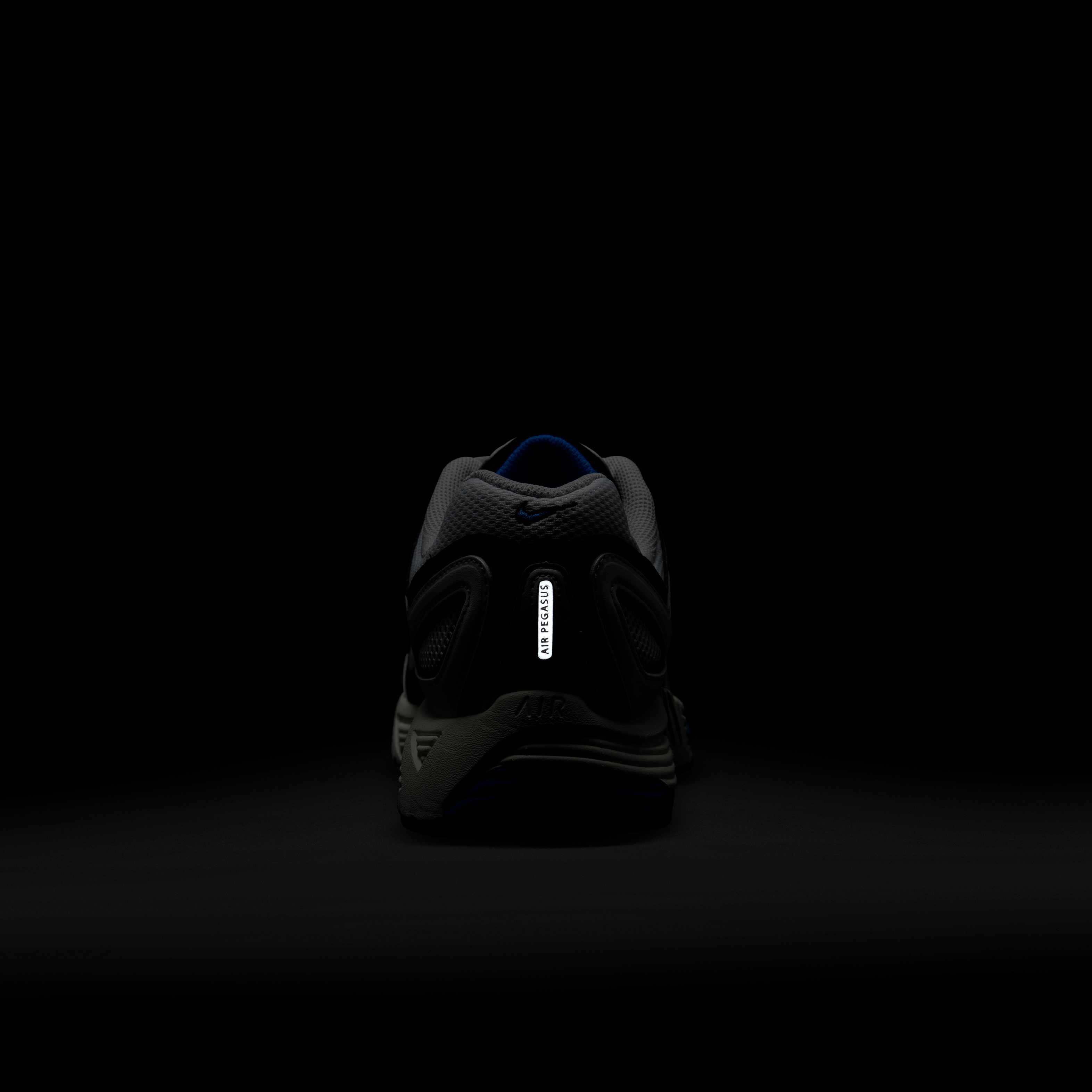 نايكي اير بيجاسوس 2005 image number 8