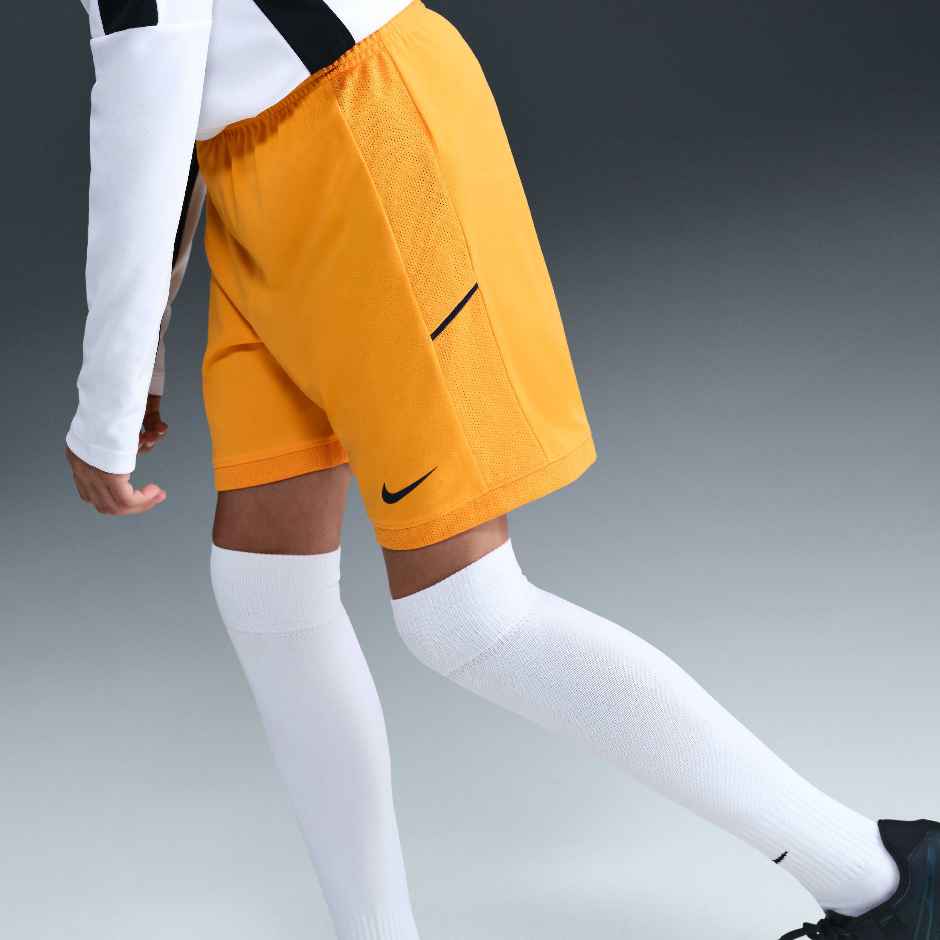 Erling Haaland Academy image number 1