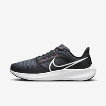 Nike Pegasus 39