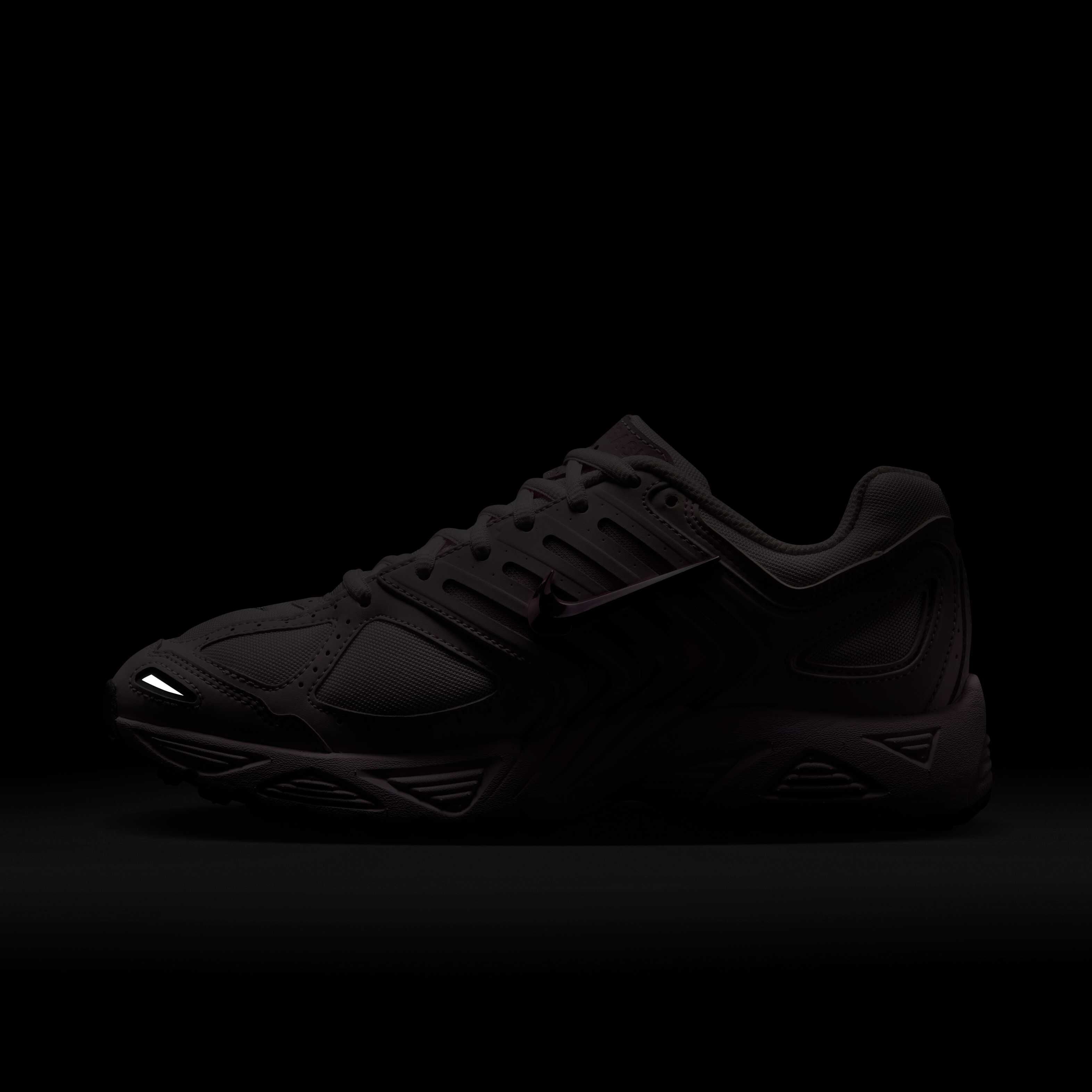 نايكي اير بيجاسوس 2005 image number 10