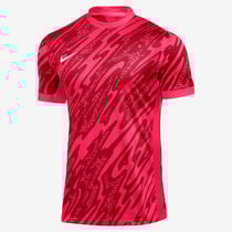 Nike Gardien V GK
