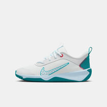 Nike Omni Multi-Court