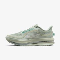 Nike Pegasus Premium