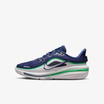 Nike Winflo 12