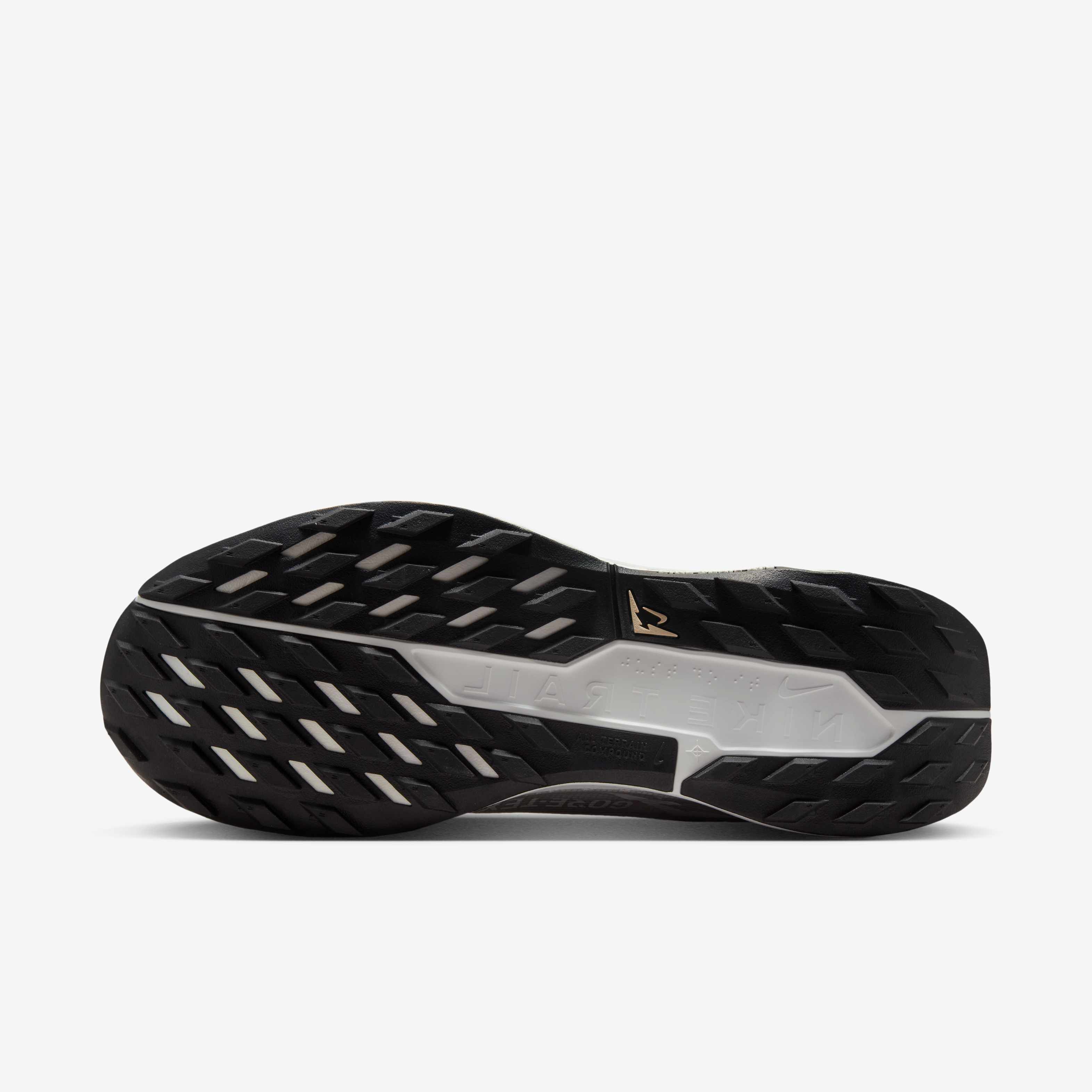 نايكي بيجاسوس تريل 5 جور-تكس image number 1