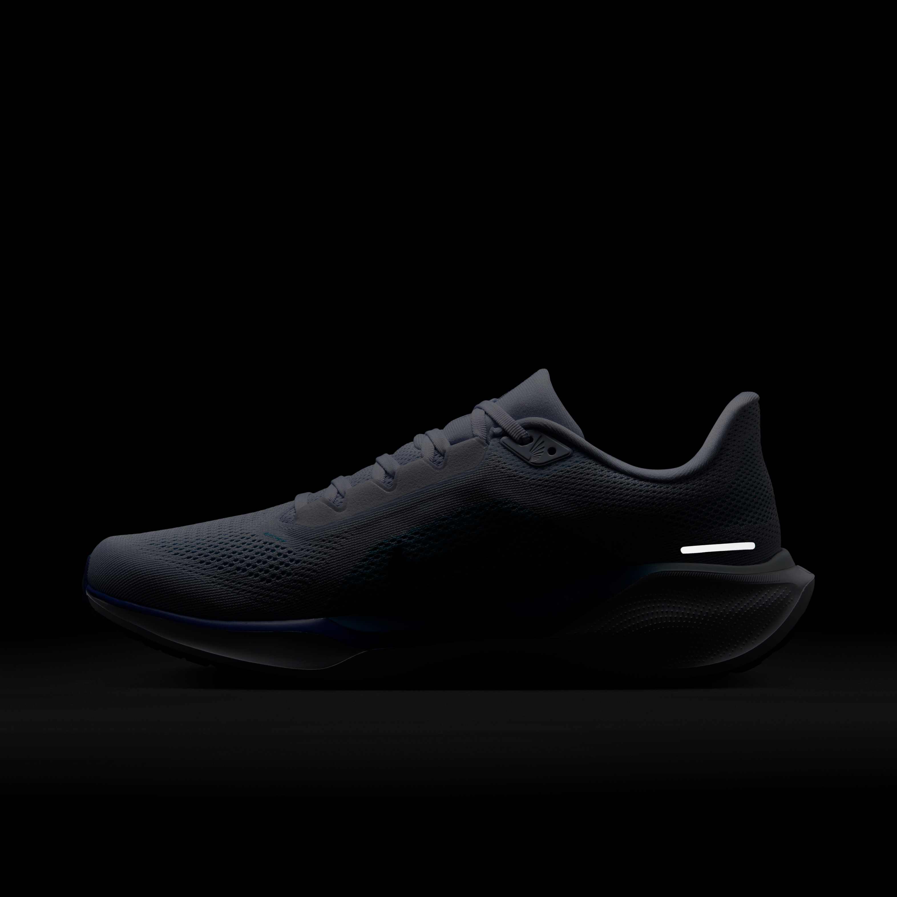 نايكي بيجاسوس 41 image number 11