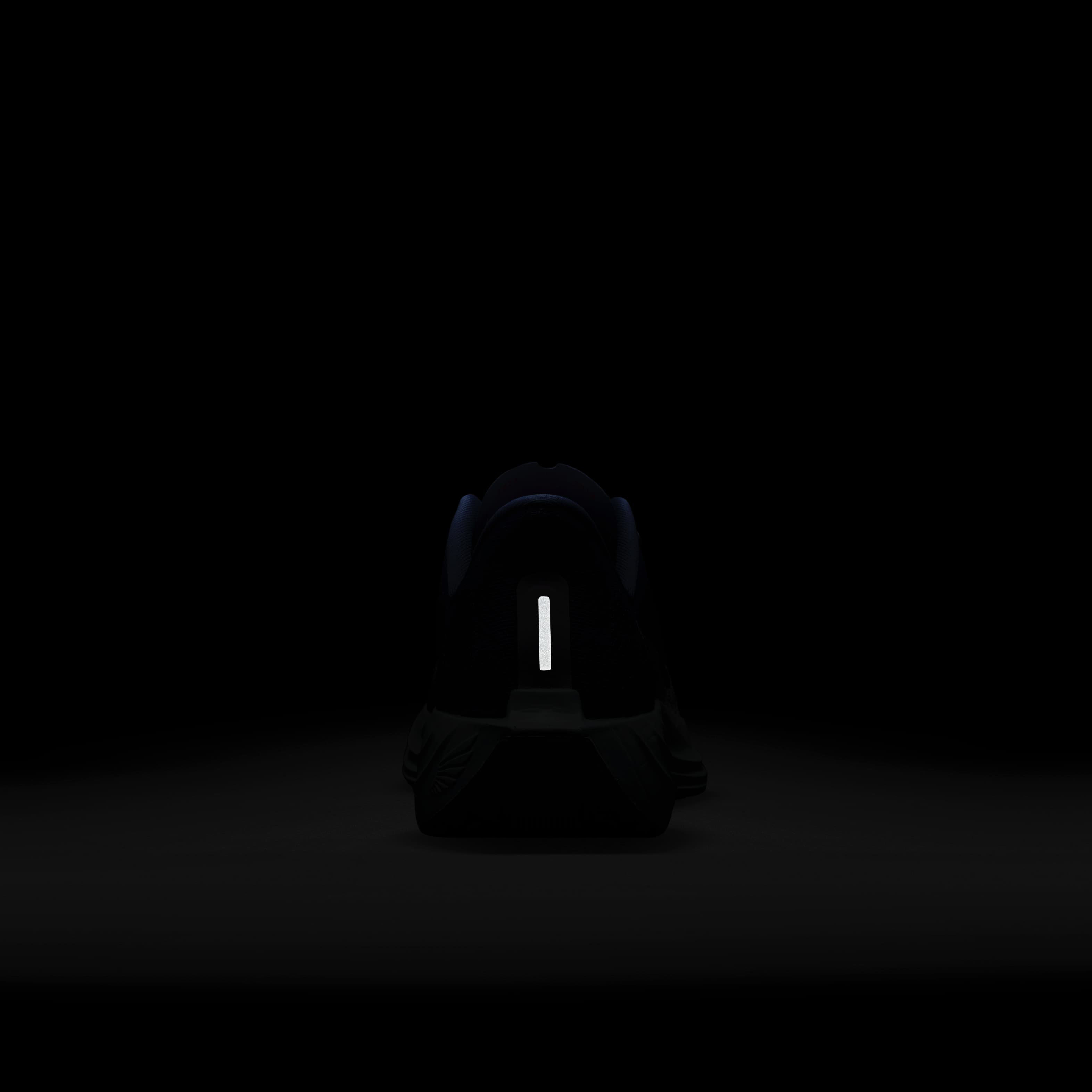 نايكي بيجاسوس بلس image number 9