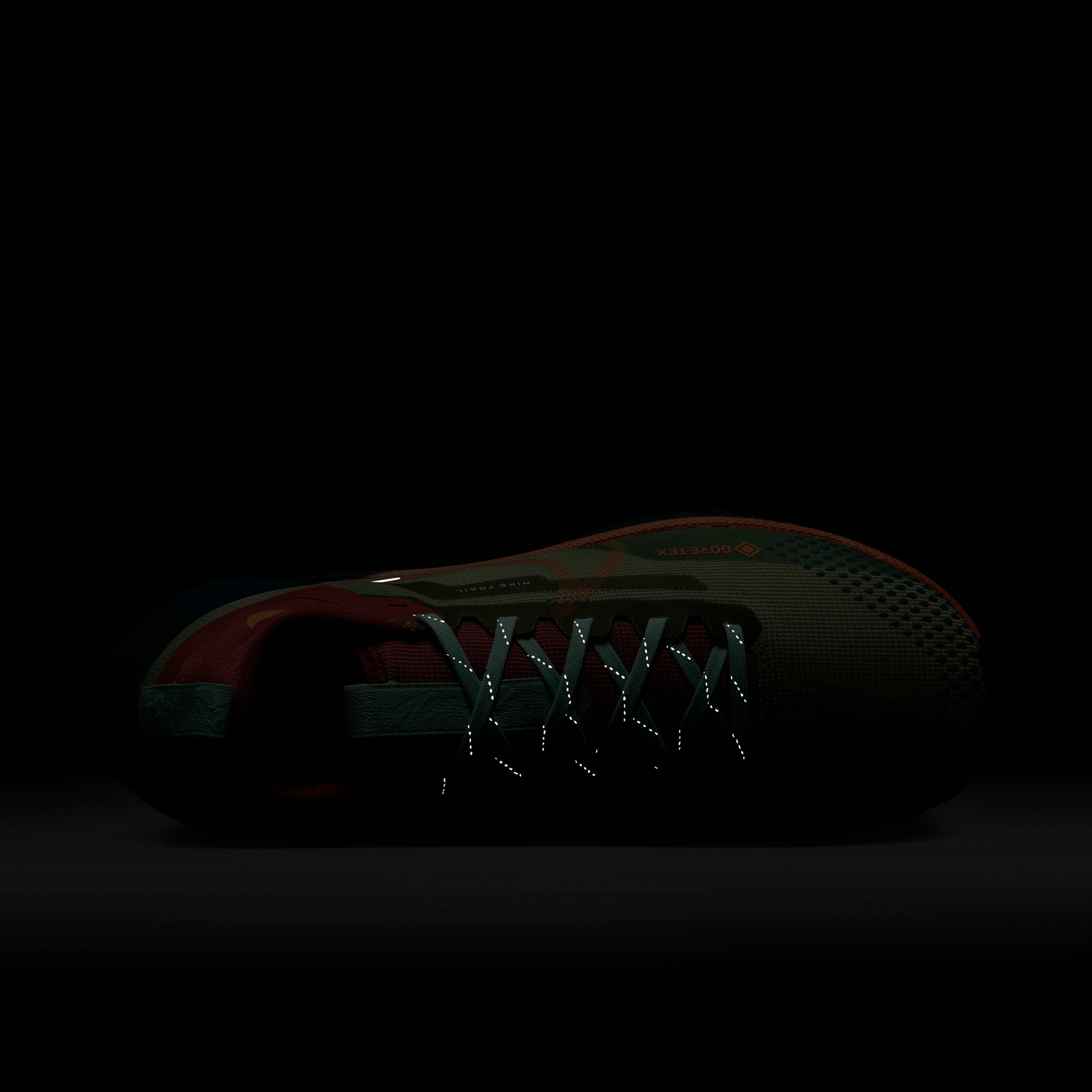 Nike Pegasus Trail 4 GORE-TEX image number 8