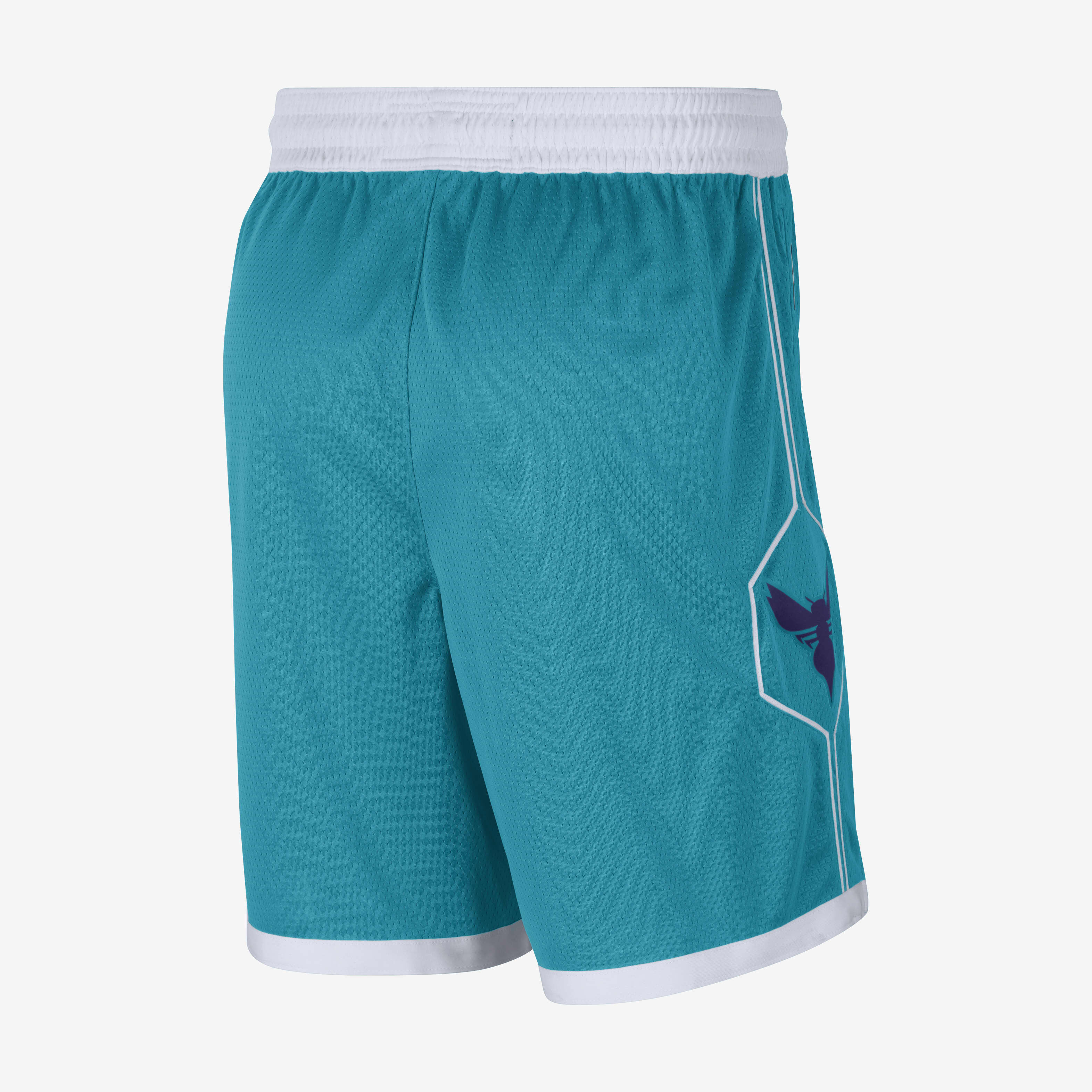 Hornets Icon Edition 2020 image number 1