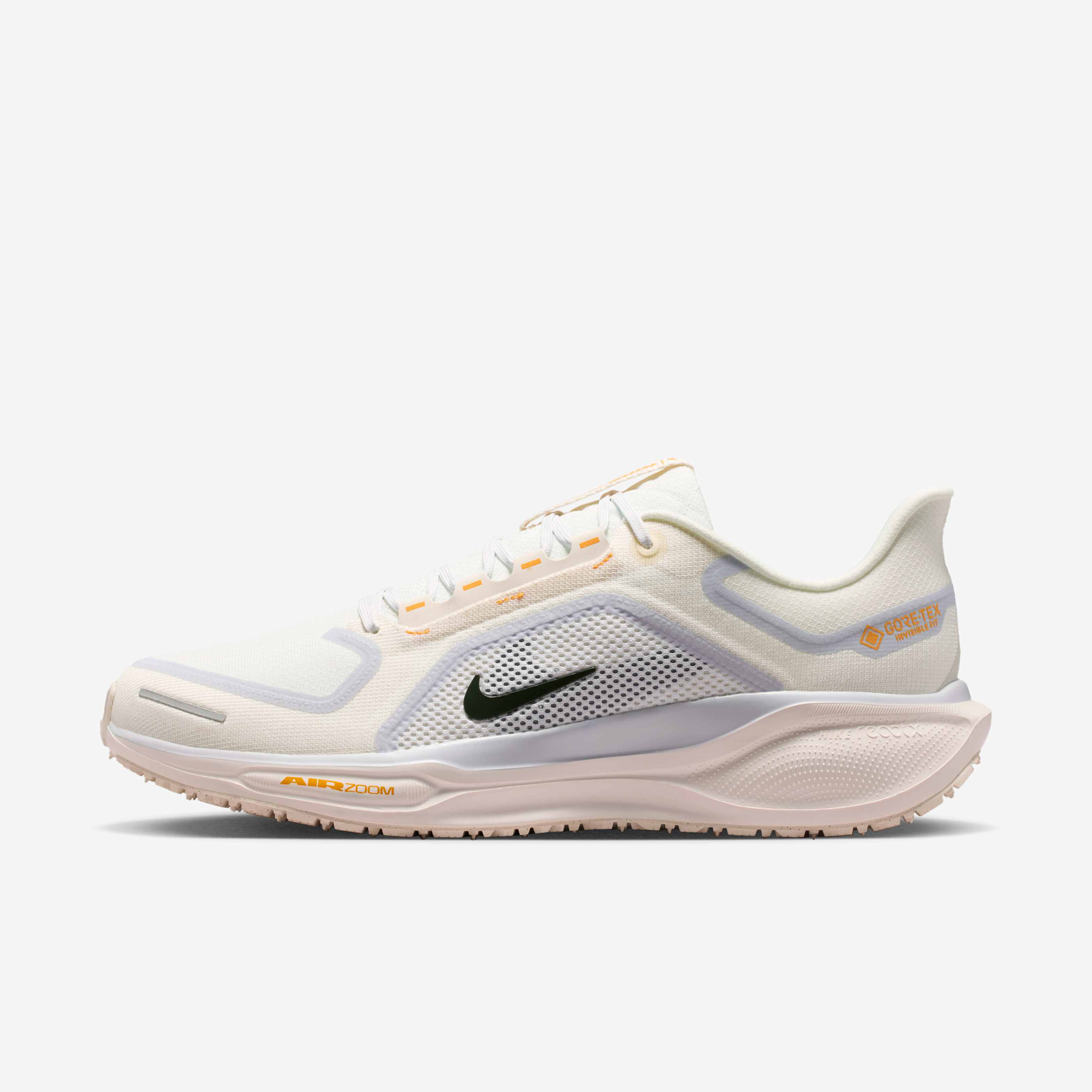 Nike Pegasus 41 GORE-TEX image number 0