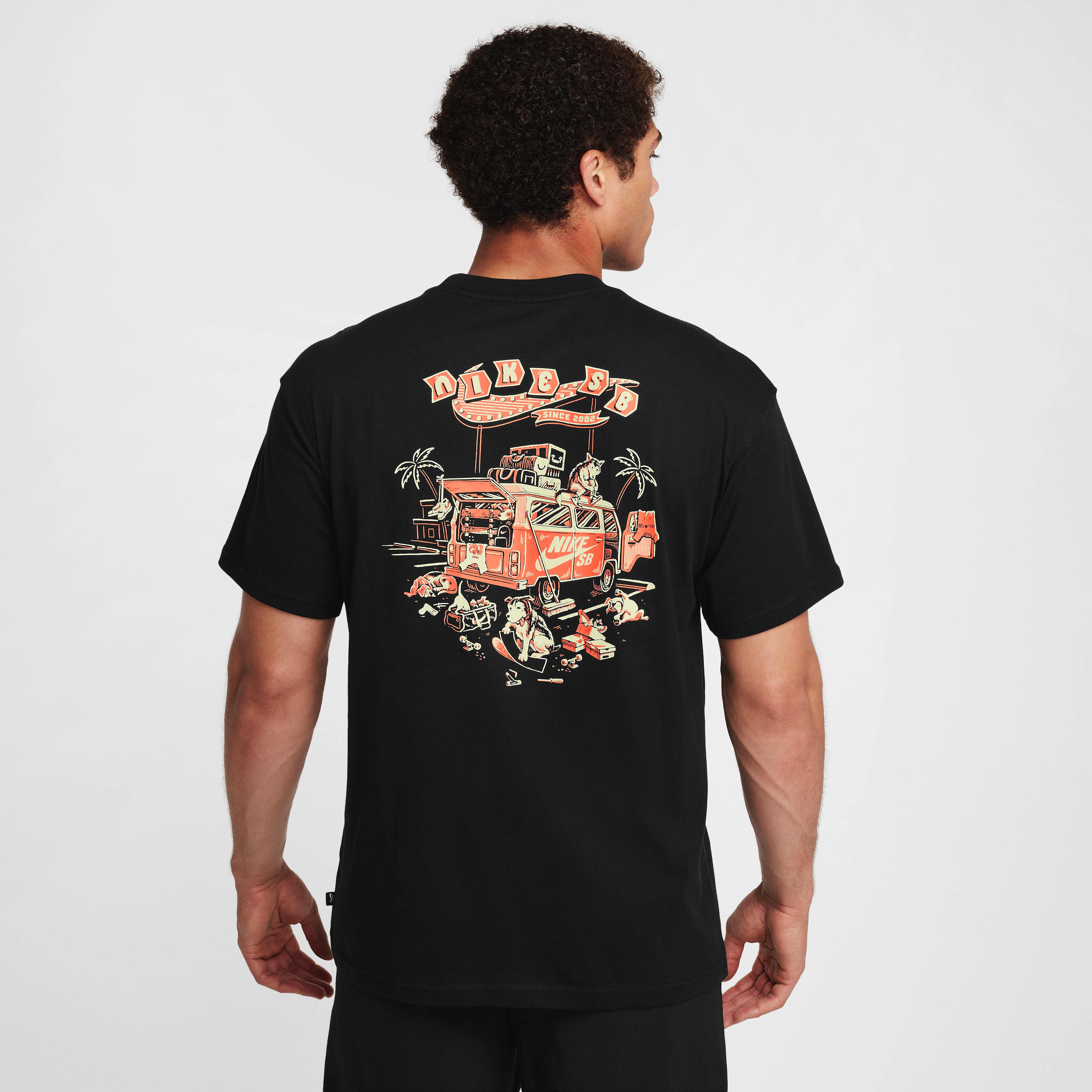 Nike SB image number 0
