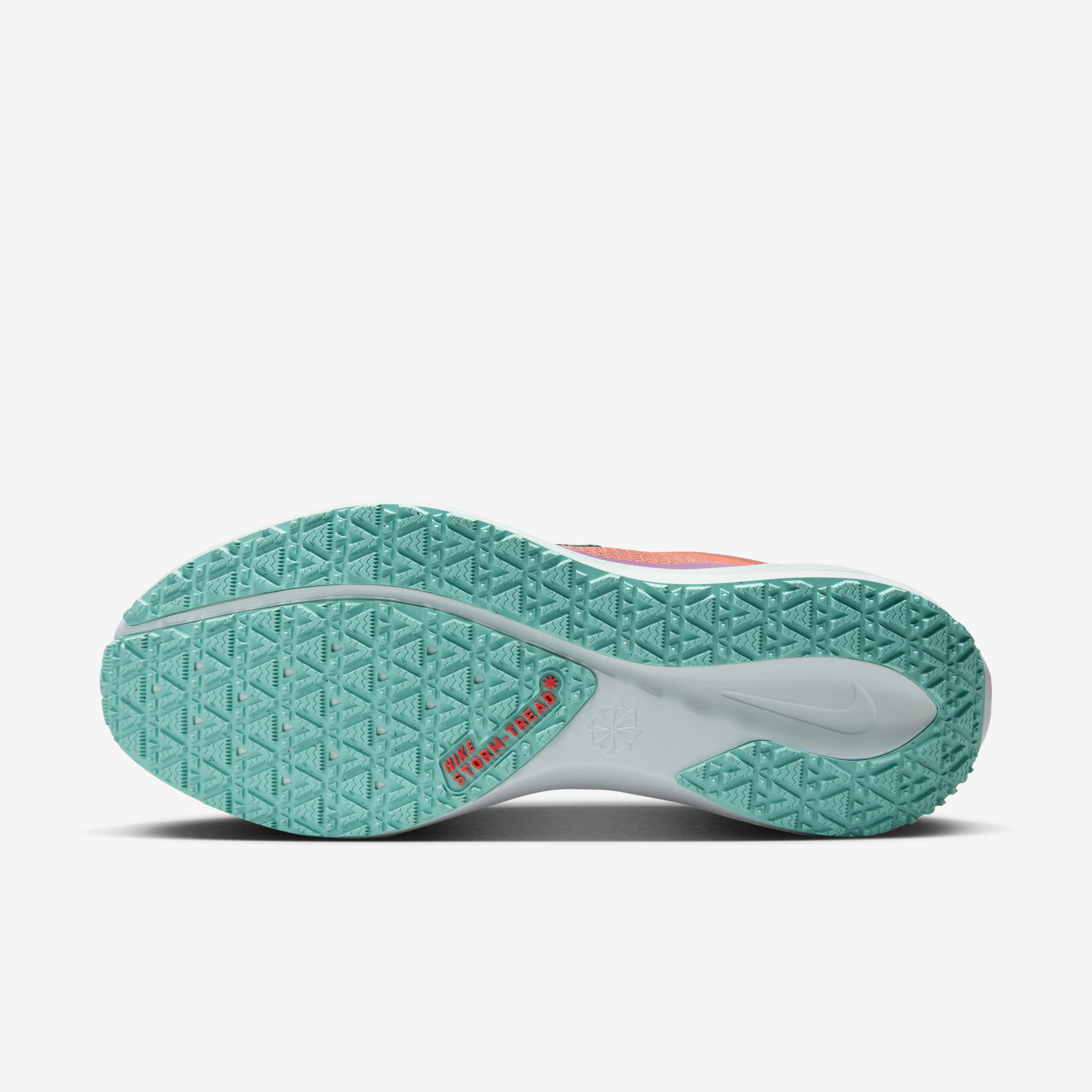 نايكي بيجاسوس 41 جور-تكس image number 1