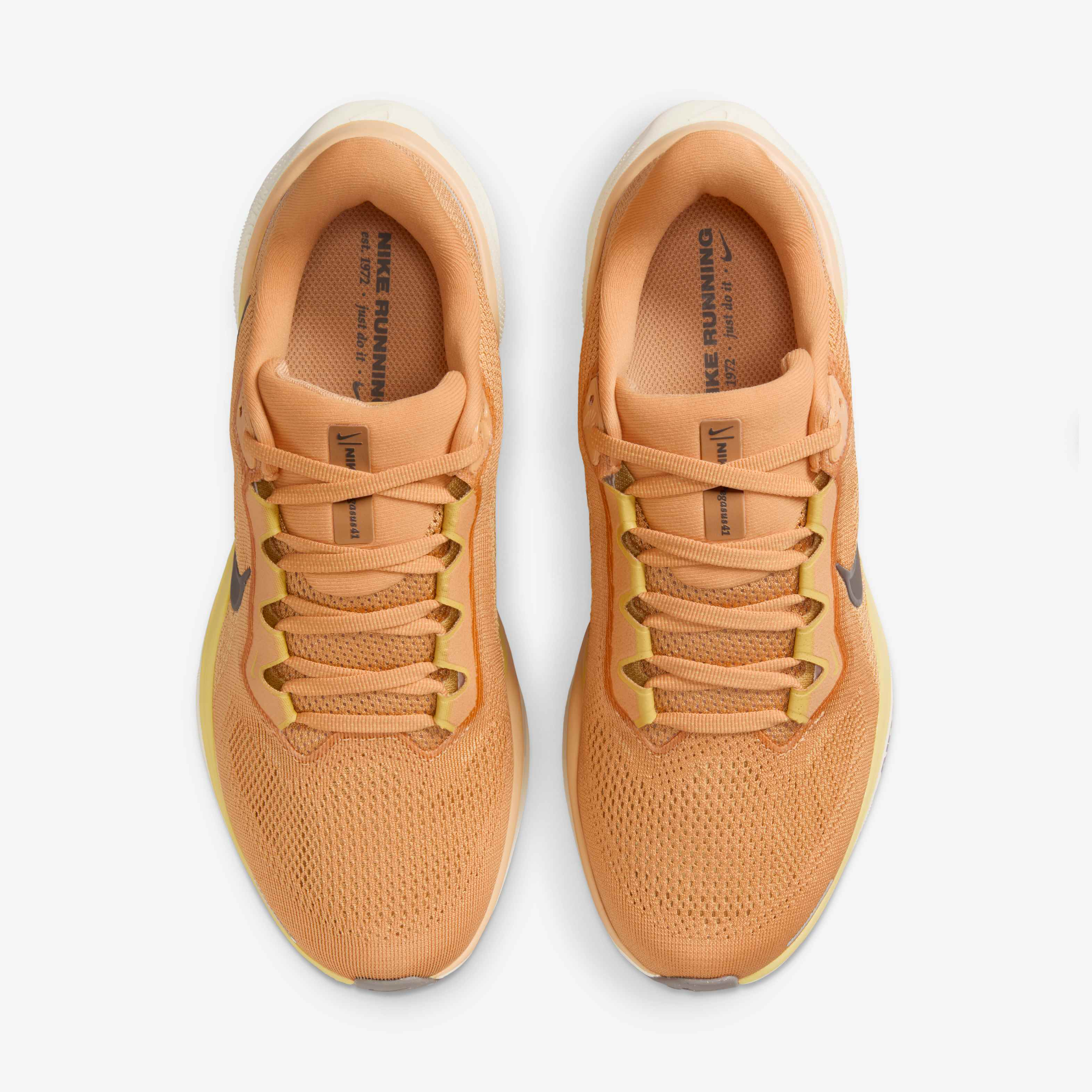 Nike Pegasus 41 image number 3