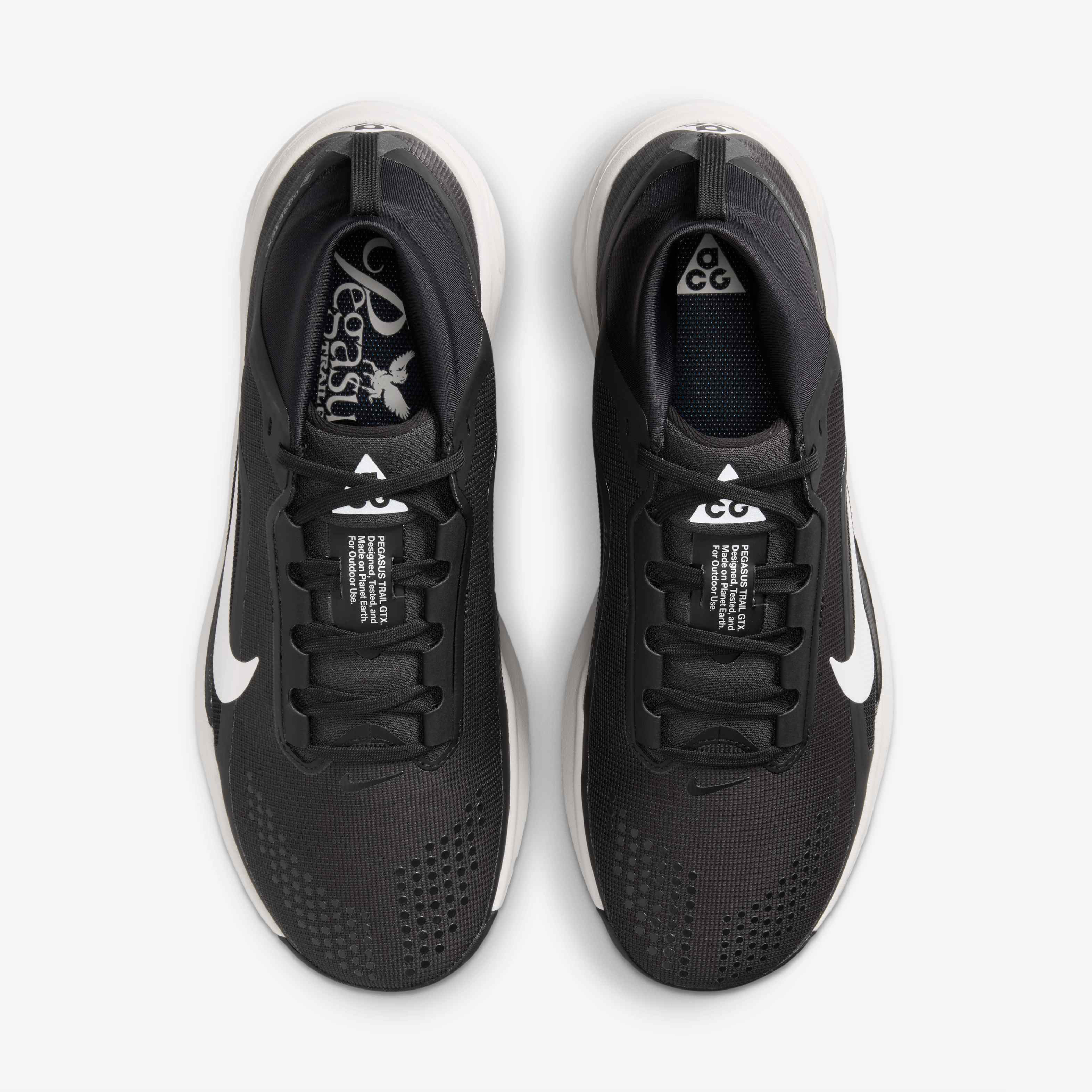 ACG Pegasus Trail GORE-TEX image number 3