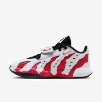 LeBron XXI