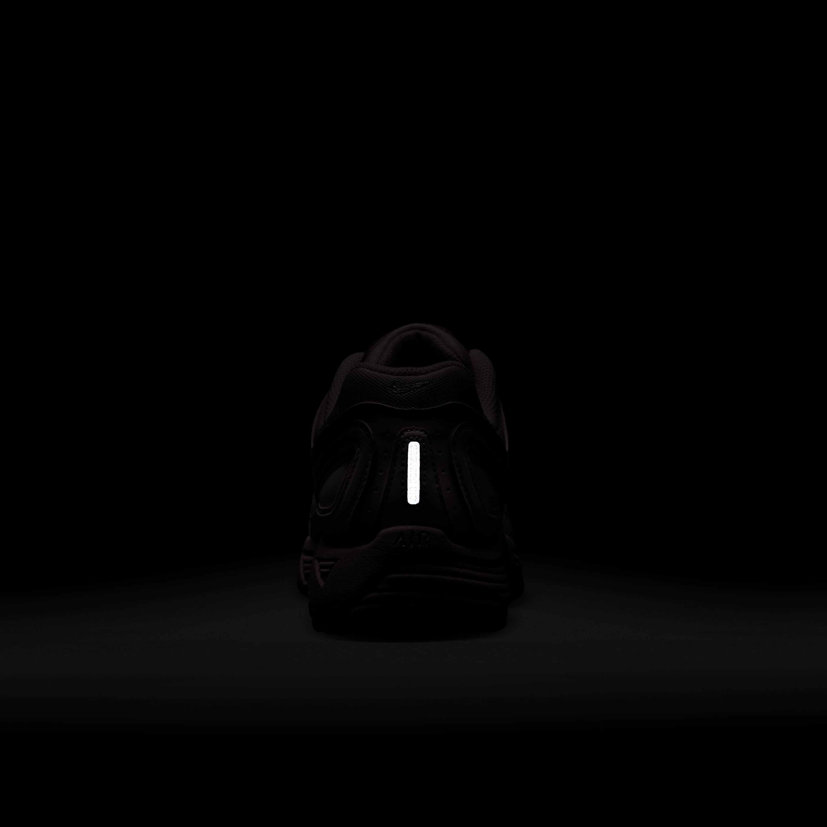 نايكي اير بيجاسوس 2005 image number 8