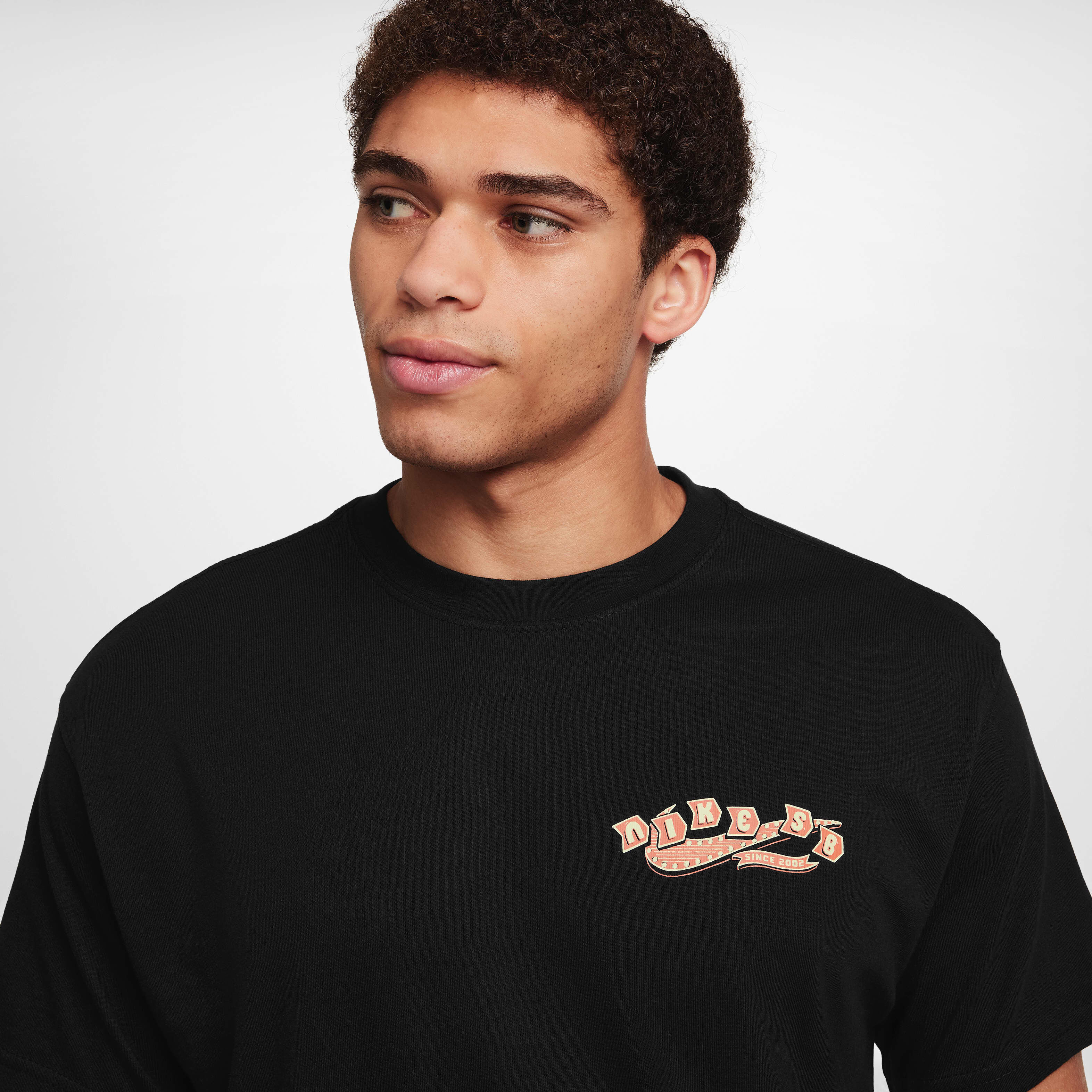 Nike SB image number 2