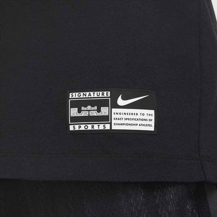 LeBron image number 4 LeBron image number 4