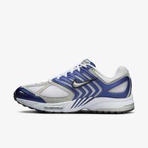 Nike Air Pegasus 2005