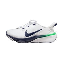 Nike Pegasus 42 EasyOn