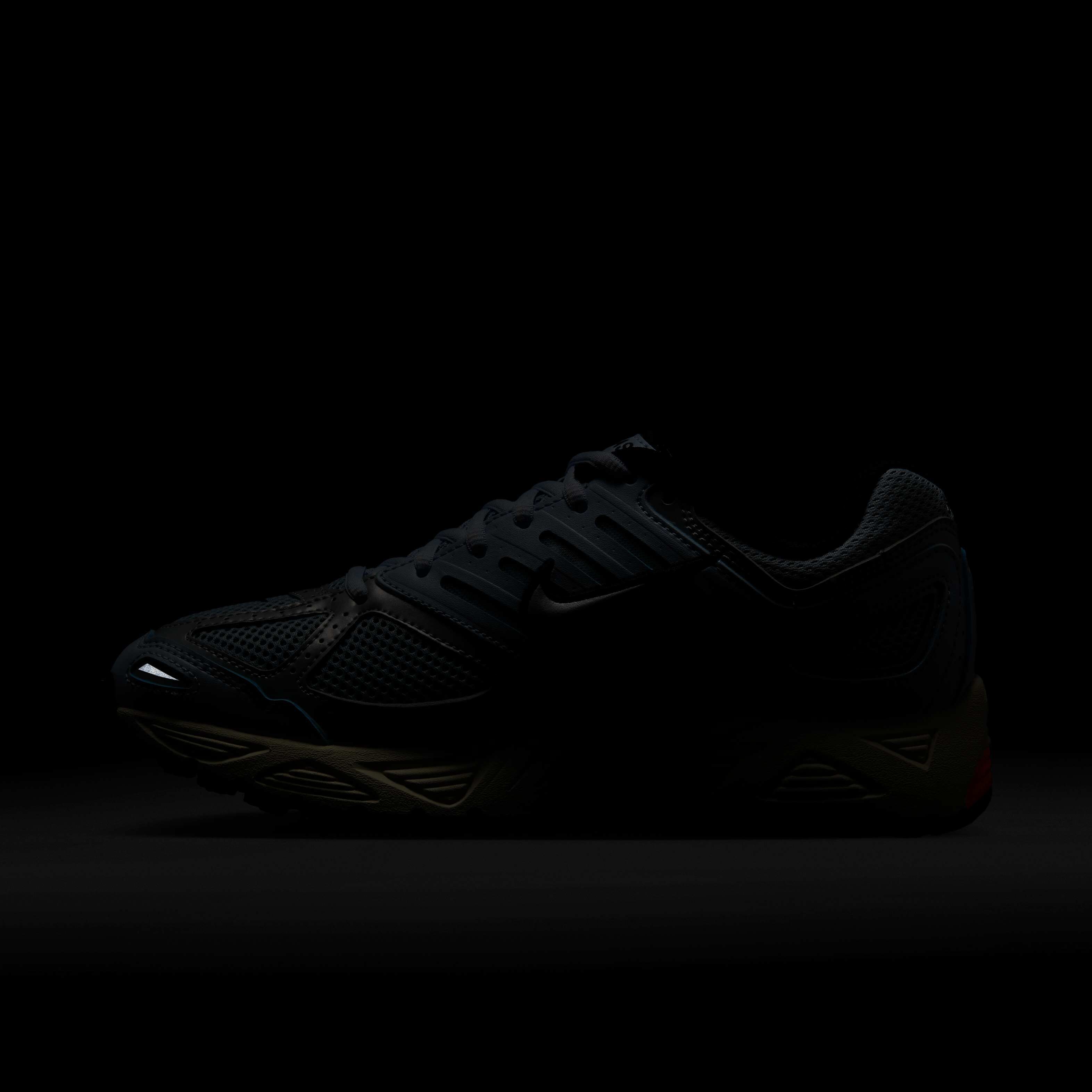 نايكي اير بيجاسوس 2005 image number 11