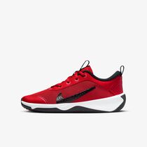 Nike Omni Multi-Court