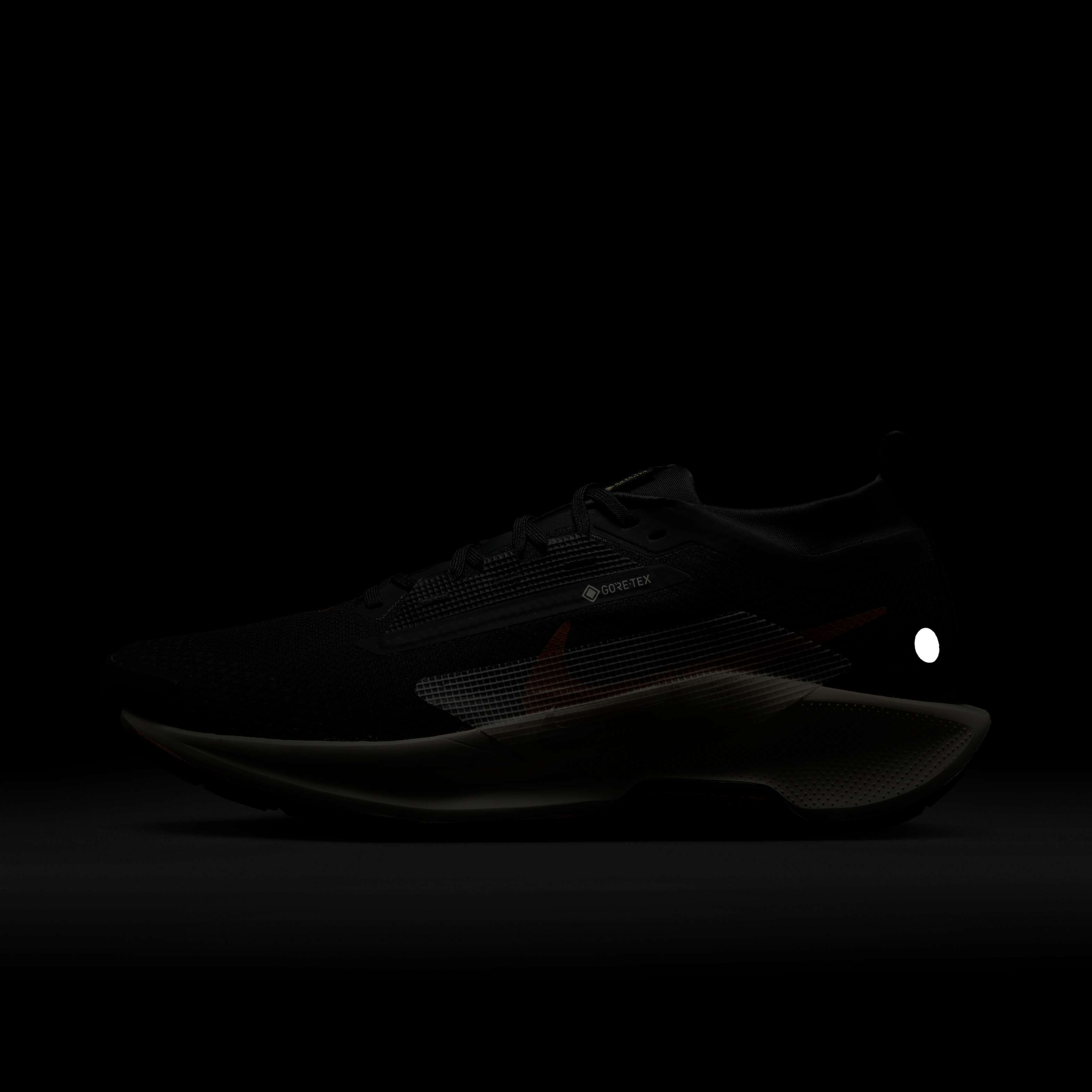 Nike Pegasus Trail 5 GORE-TEX image number 9