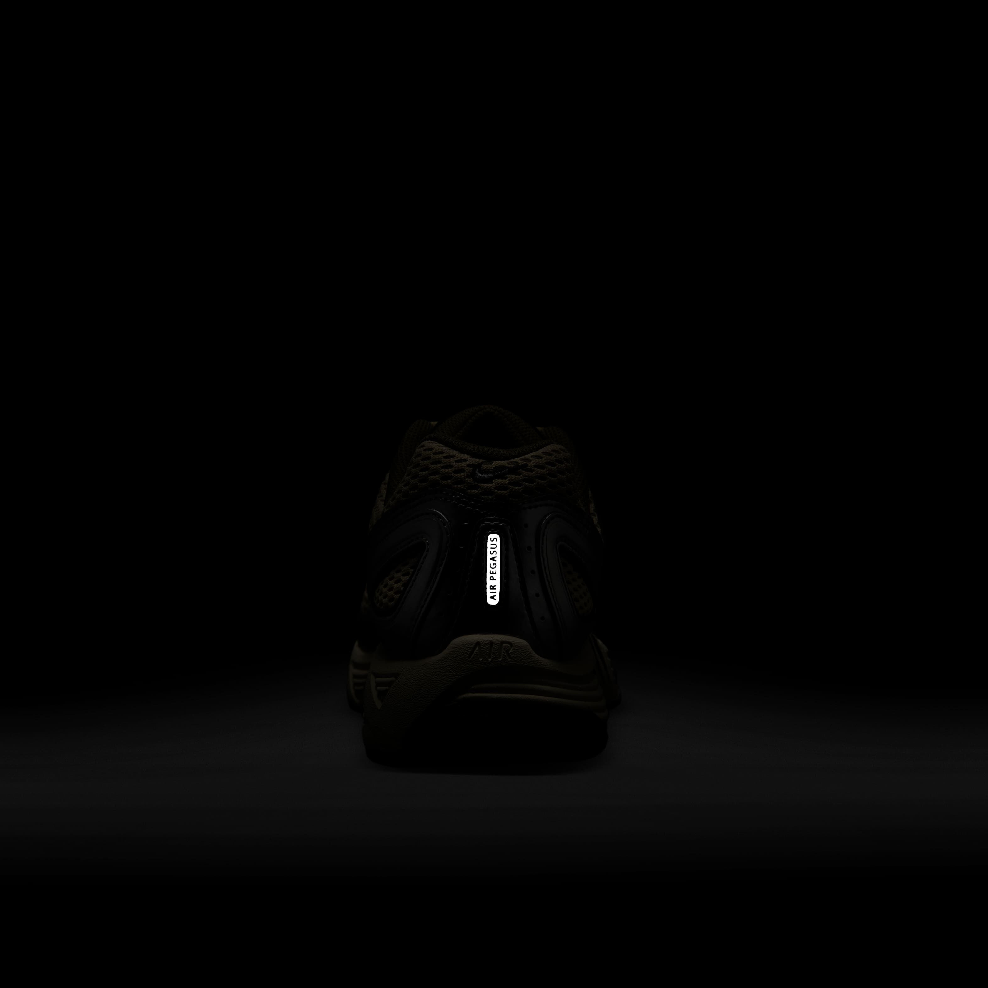 نايكي اير بيجاسوس 2005 image number 9