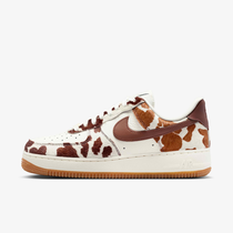 Nike Air Force 1 '07