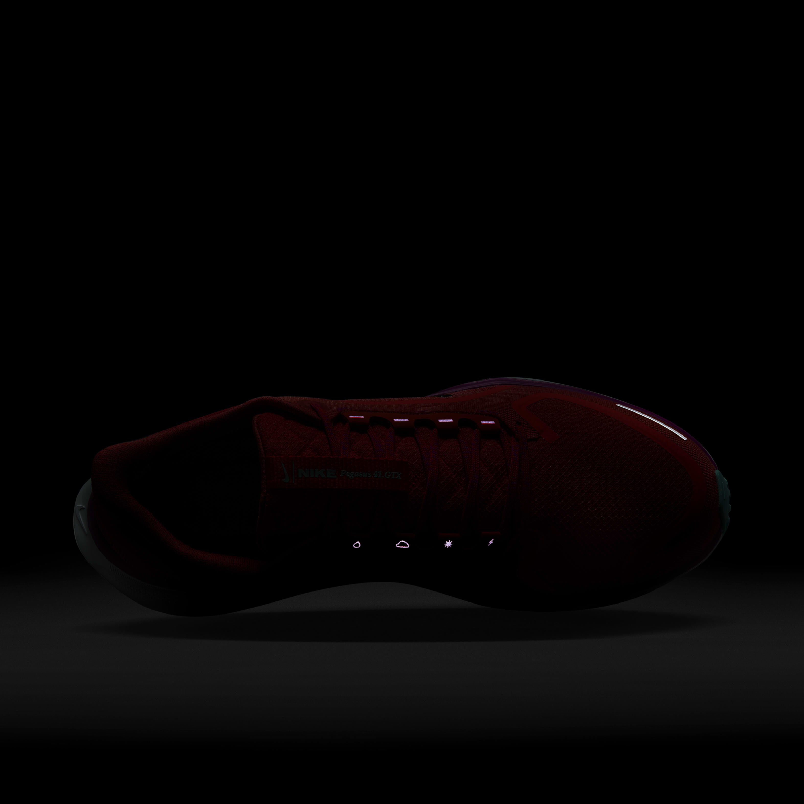 نايكي بيجاسوس 41 جور-تكس image number 8