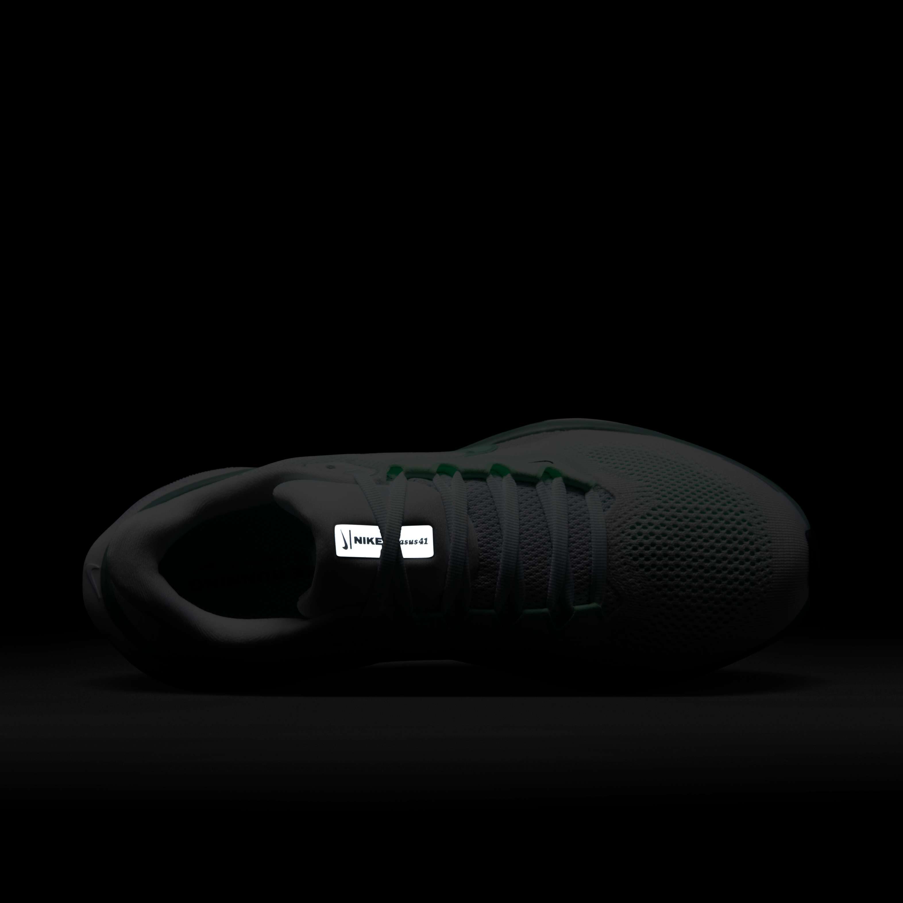 نايكي بيجاسوس 41 image number 8