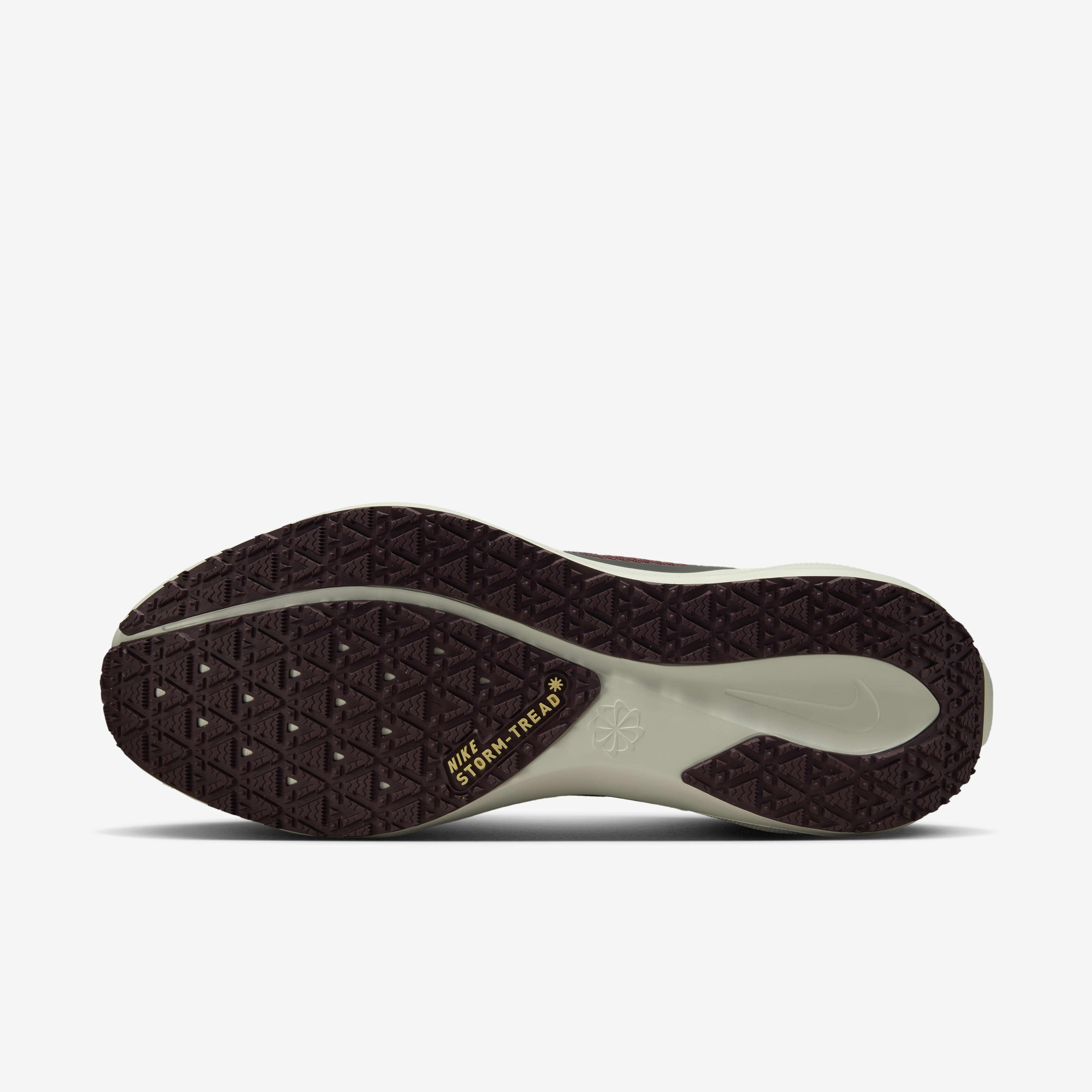Nike Pegasus 41 GORE-TEX image number 1