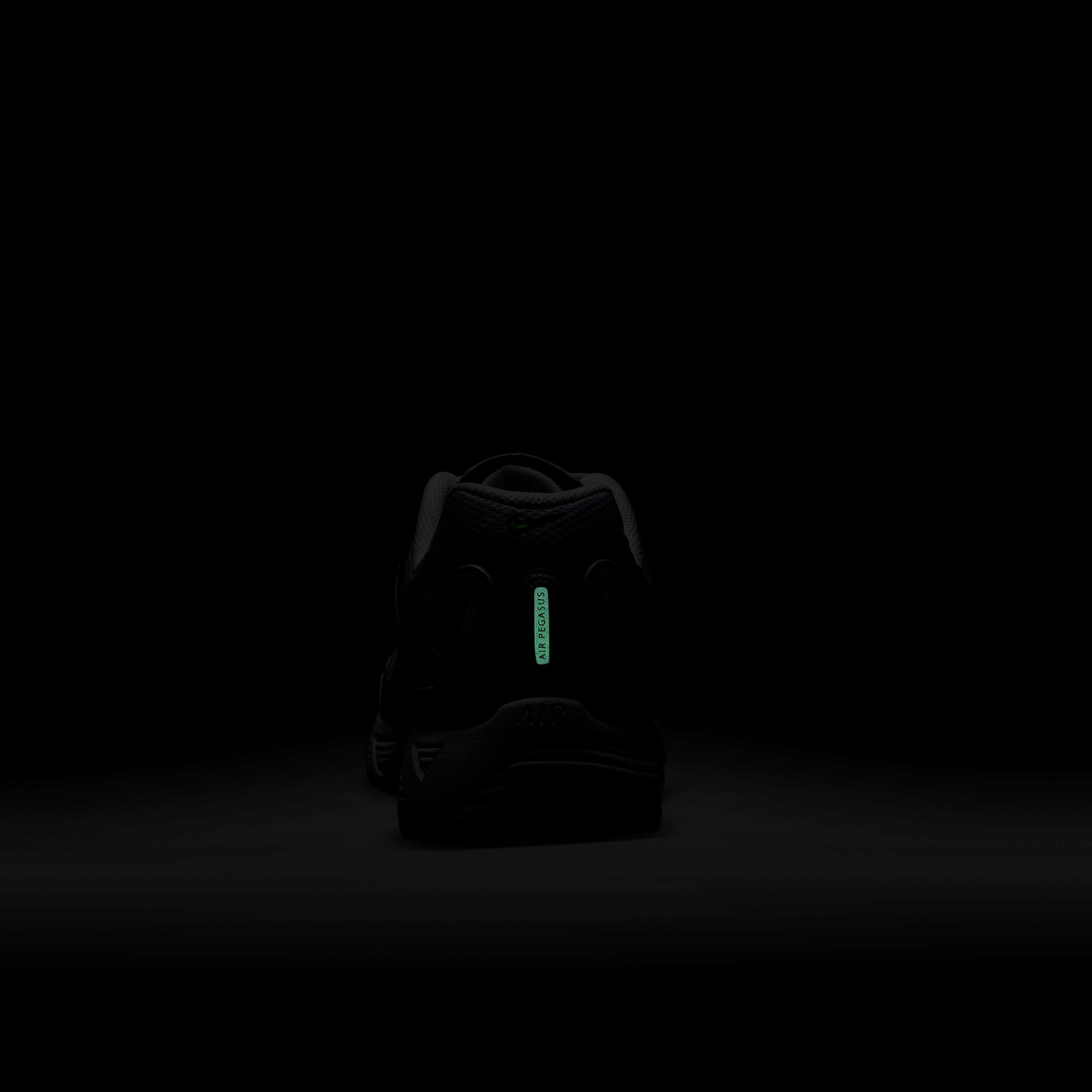 نايكي اير بيجاسوس 2005 image number 9