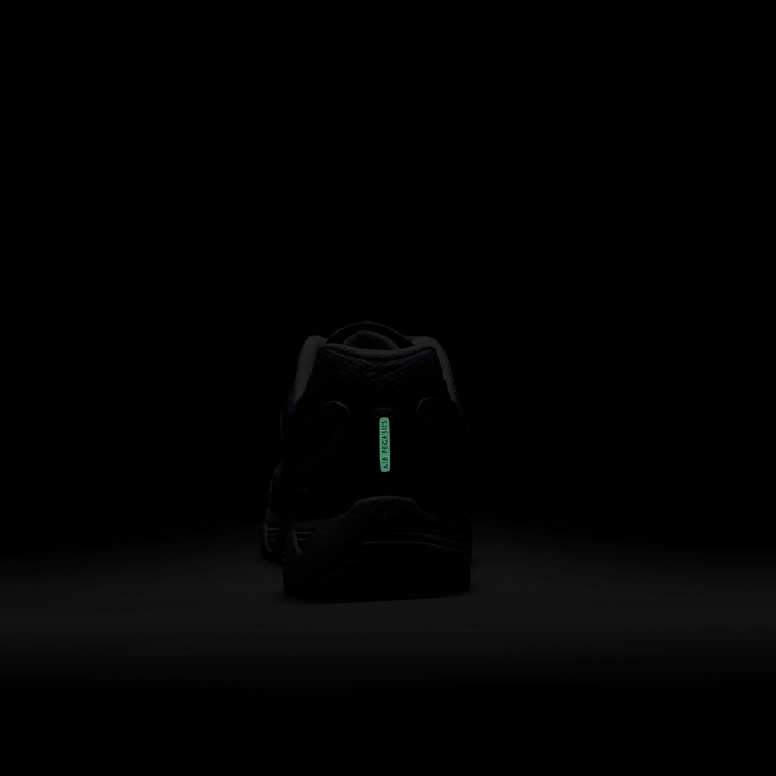 نايكي اير بيجاسوس 2005 image number 9 نايكي اير بيجاسوس 2005 image number 9