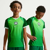 Nigeria 2026 Stadium Home