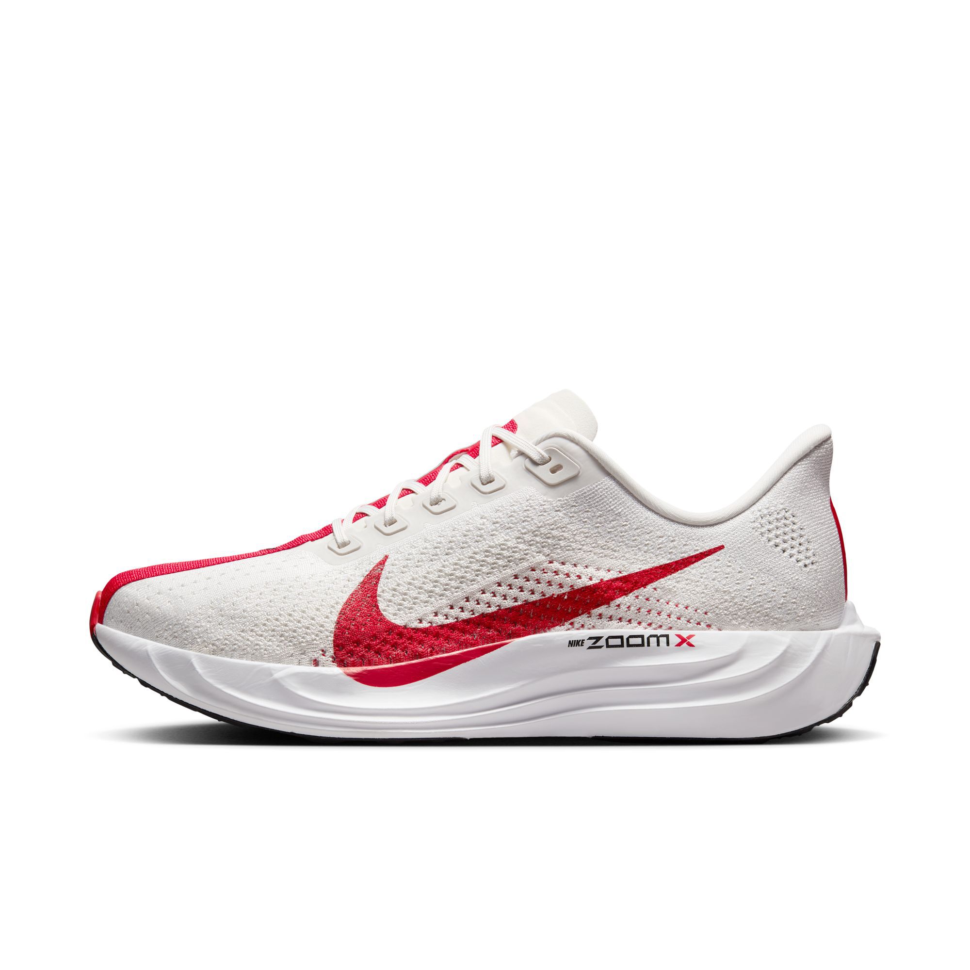 Nike Pegasus Plus