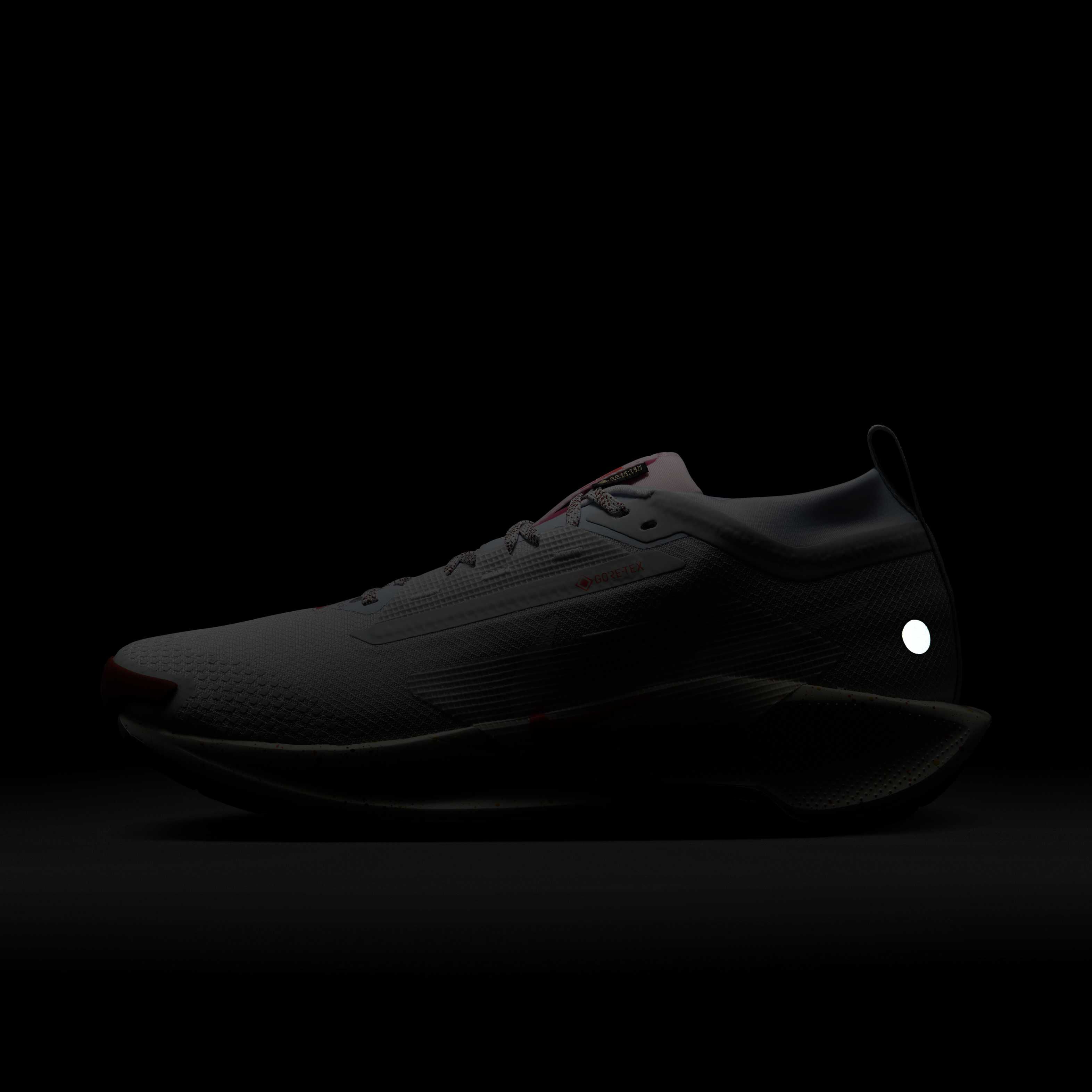 Nike Pegasus Trail 5 GORE-TEX image number 9