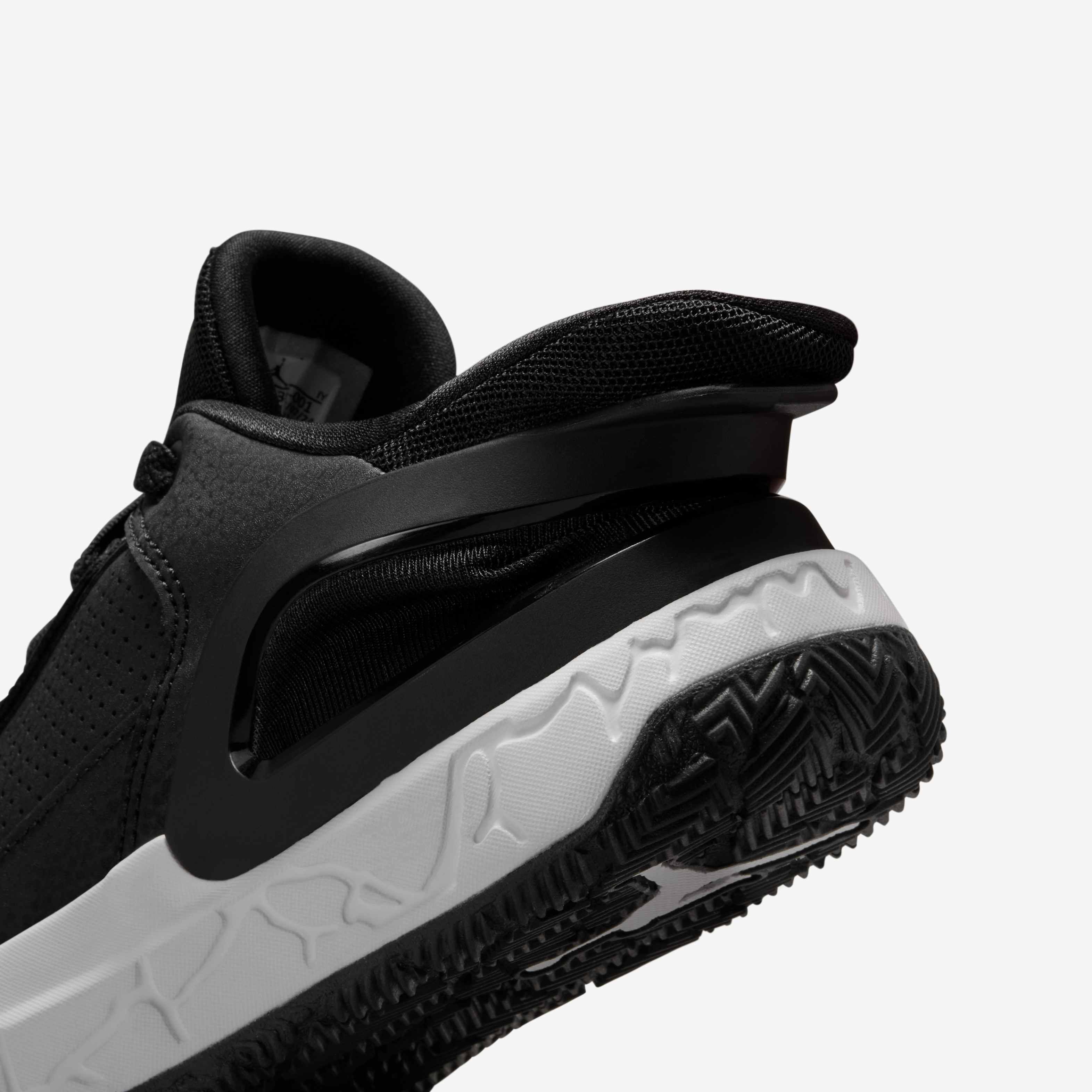 Jordan DAY1 EO image number 8